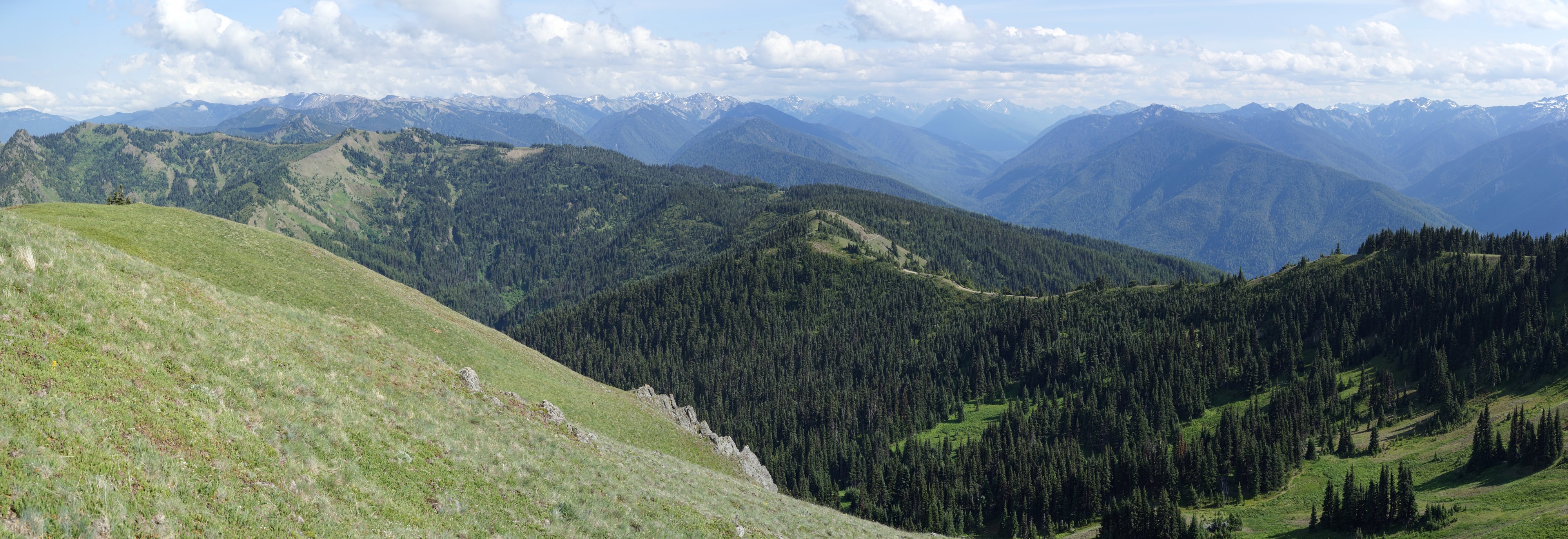 Hurricane Ridge panorama 2