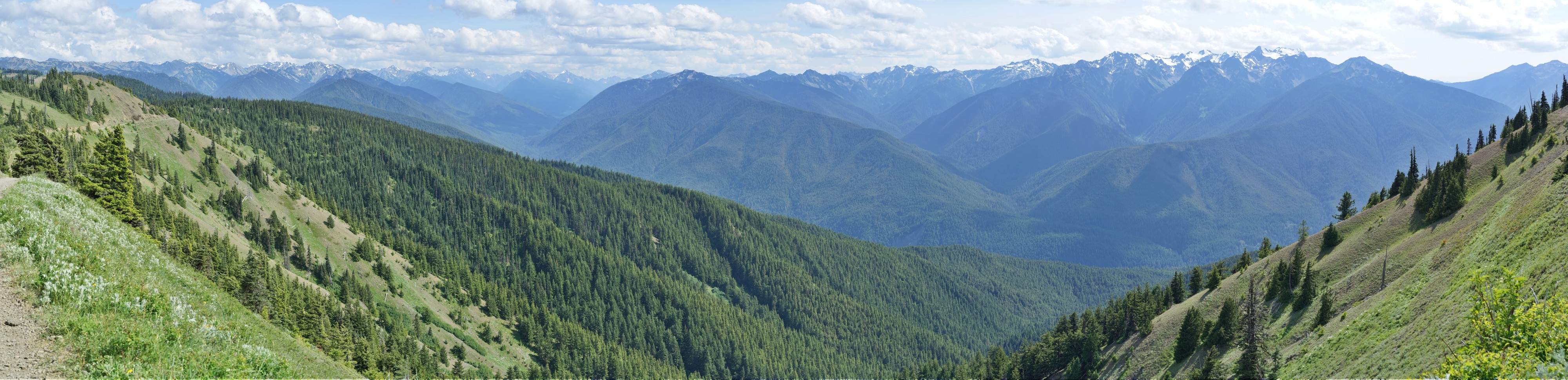 Hurricane ridge panorama 4