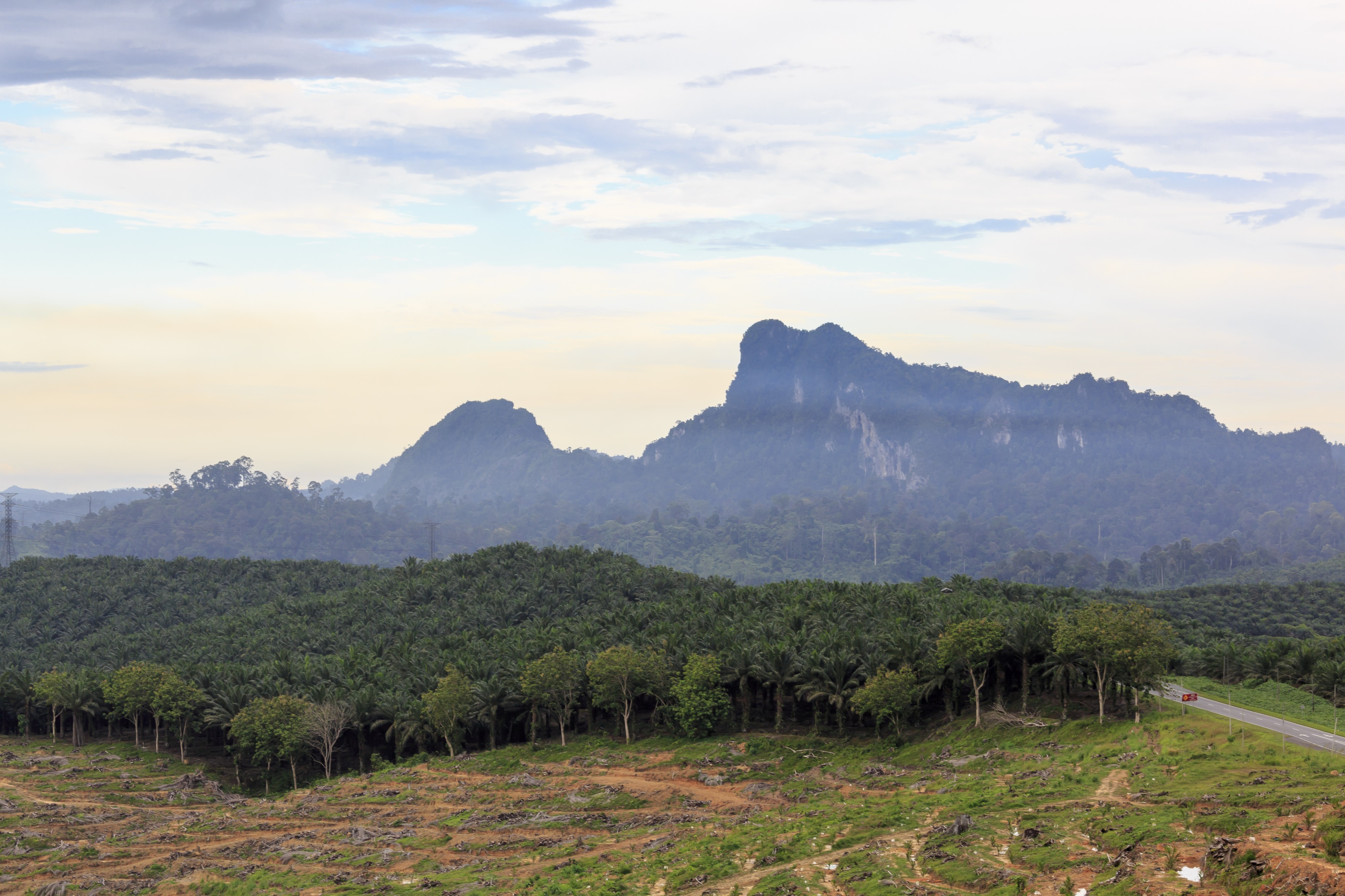 Kunak Sabah Mount-Madai-03