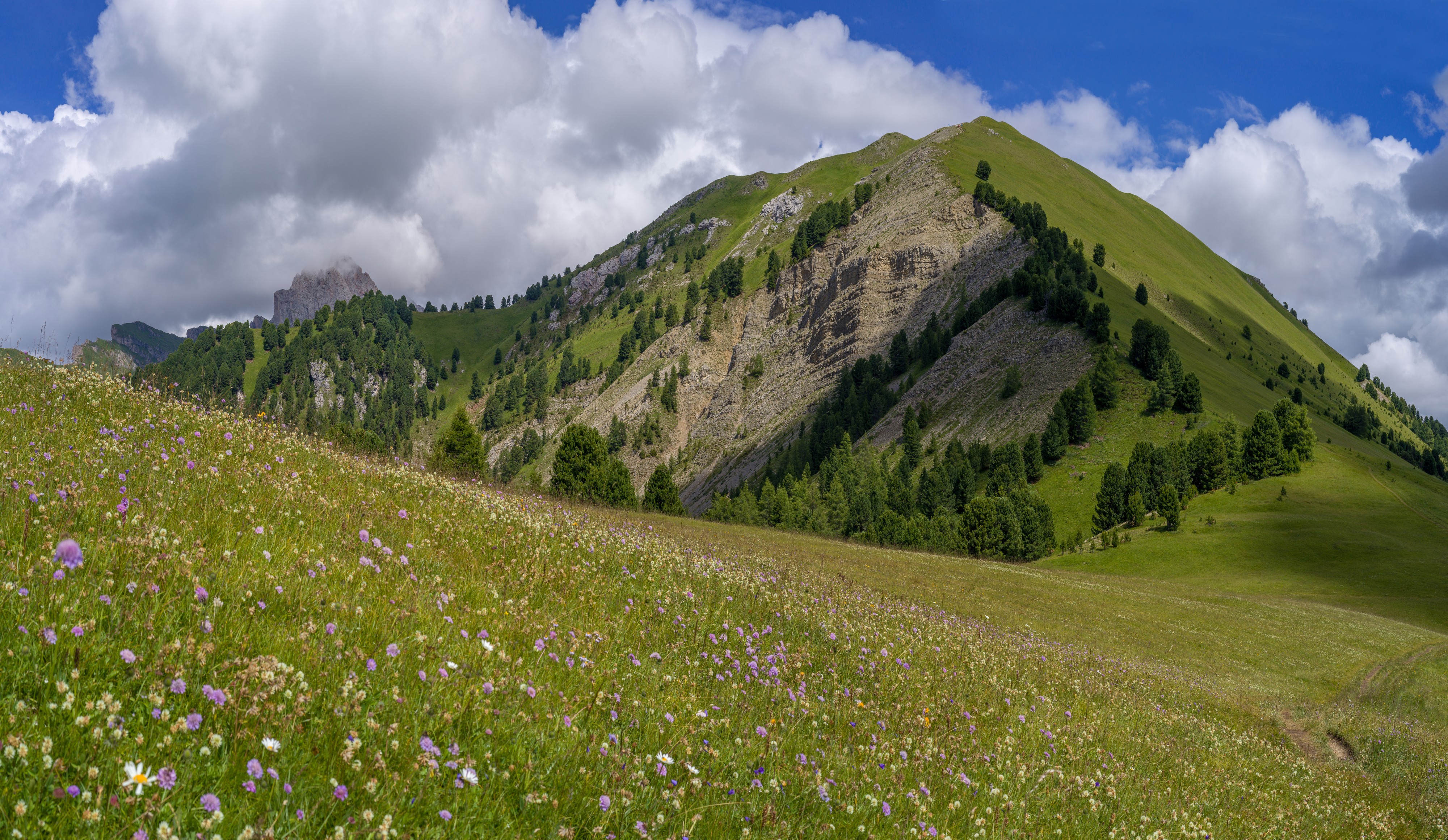 Pic da Sëurasas Gherdëina