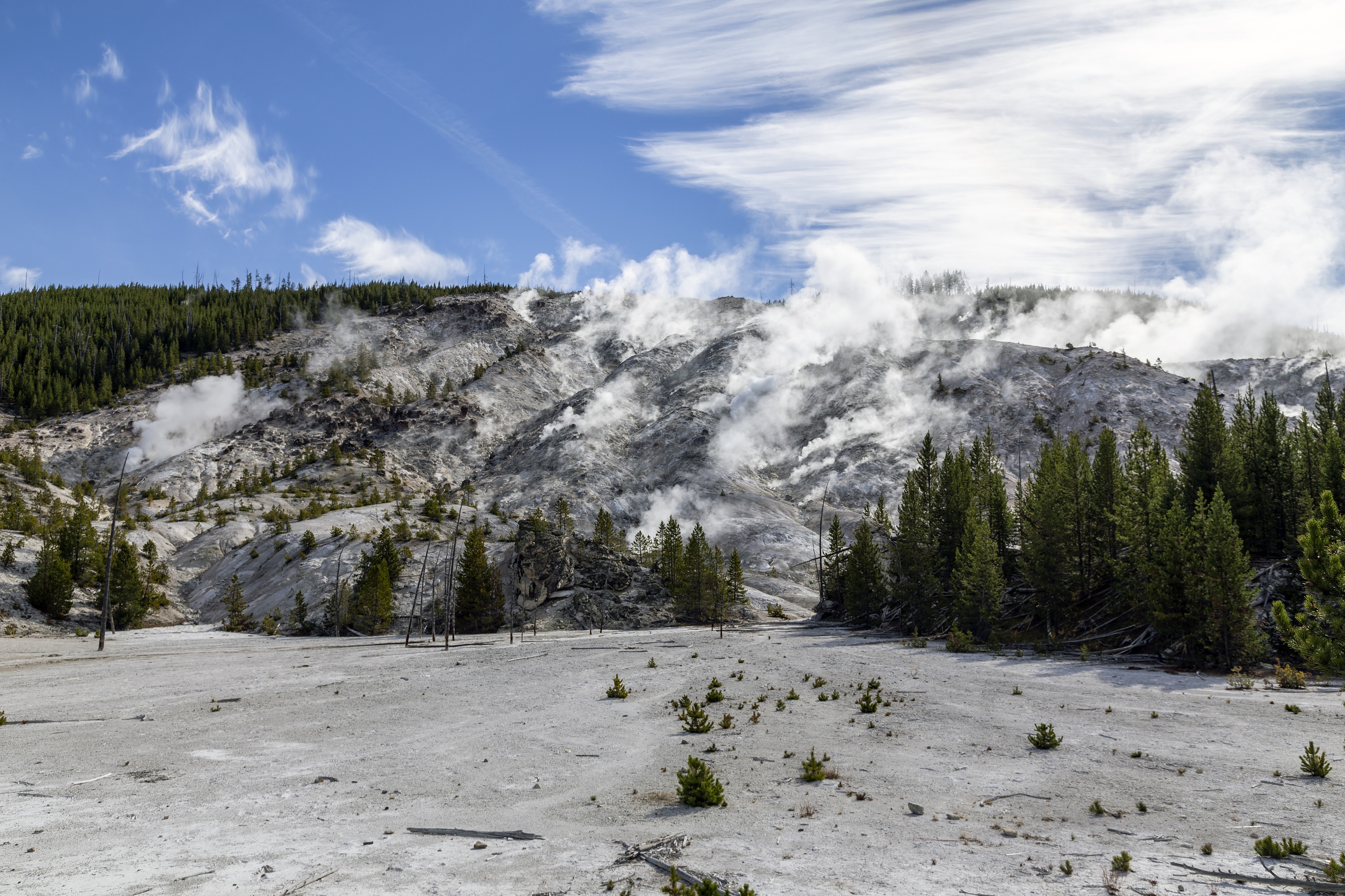 Roaring Mountain YNP4
