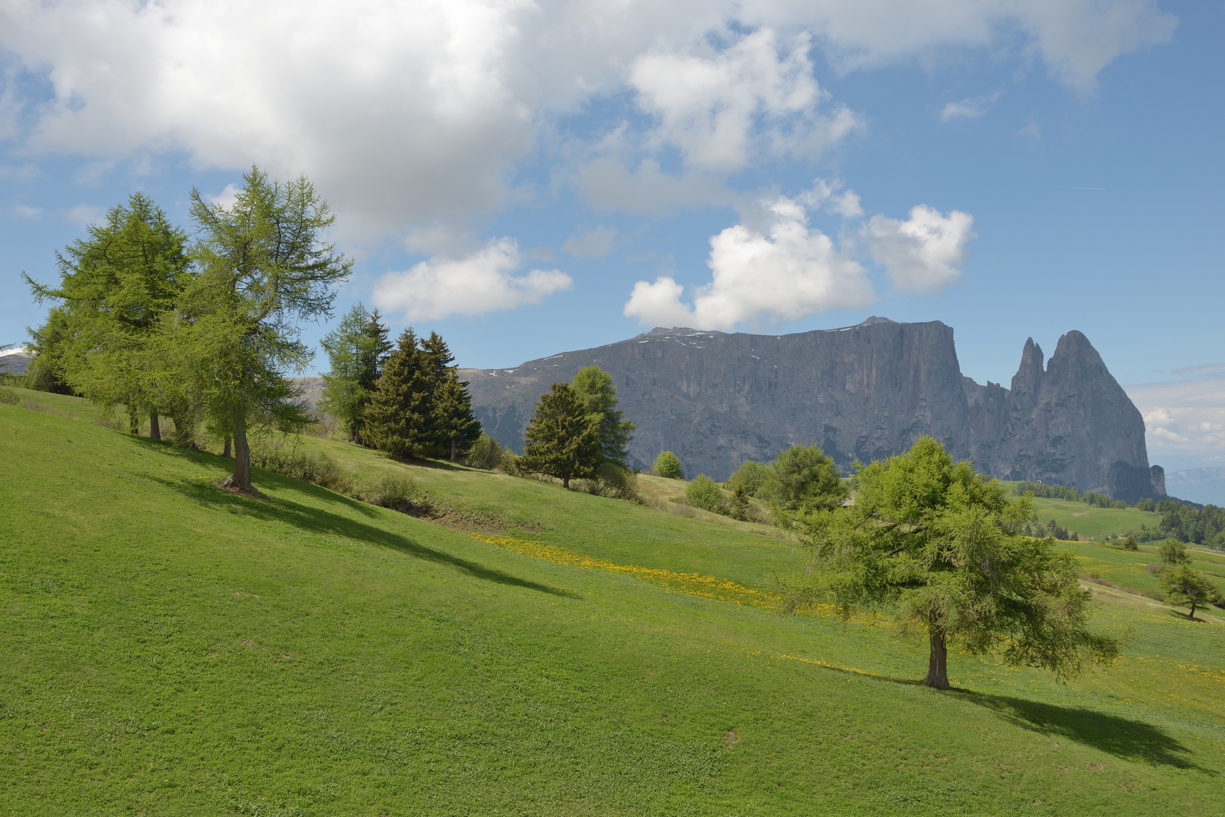 Schlern aus der Seiseralm