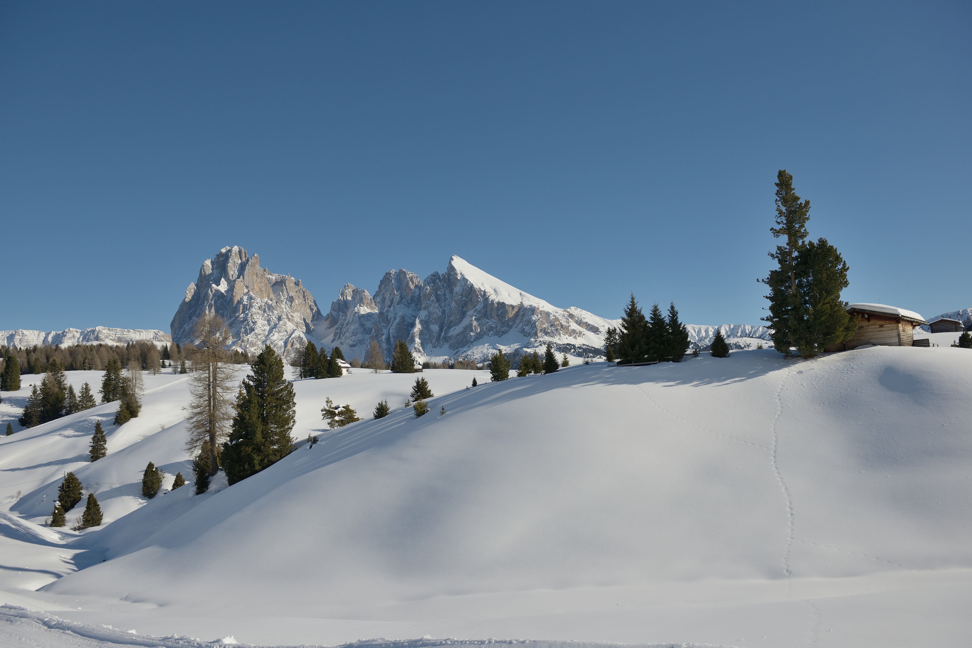 Seiseralm und Langkofelgruppe im Winter