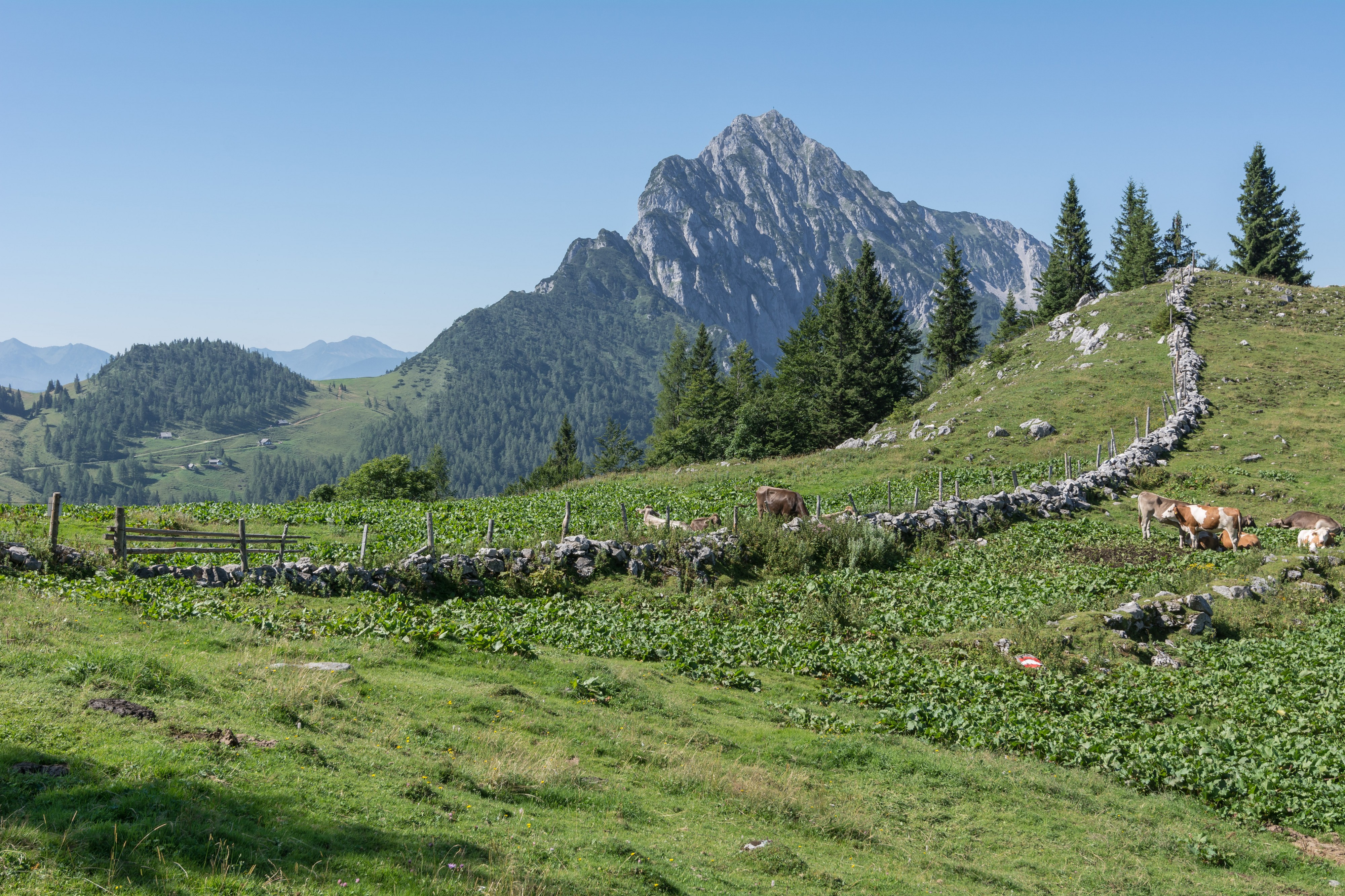 Spital aP Sattel Lugkogel Großer Pyhrgas Weg 618