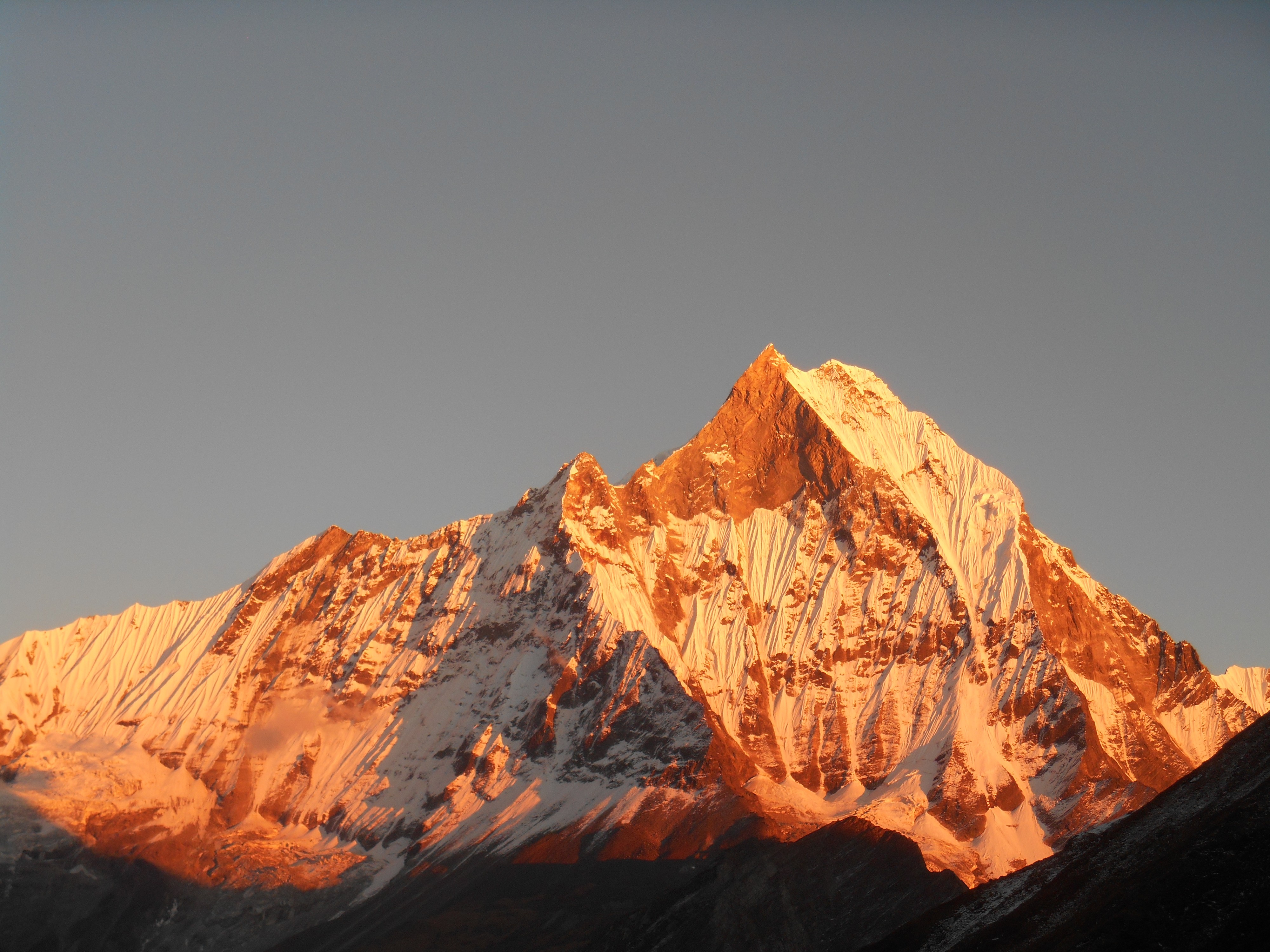 Sunset on fish tail