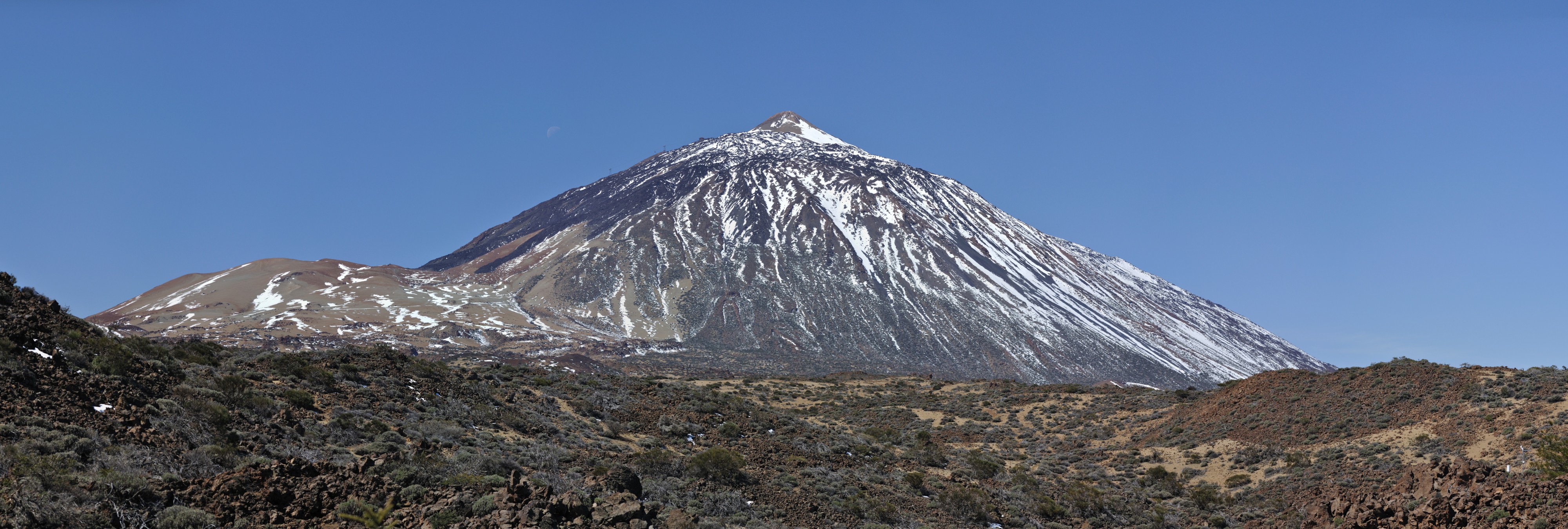 Teide qtl1