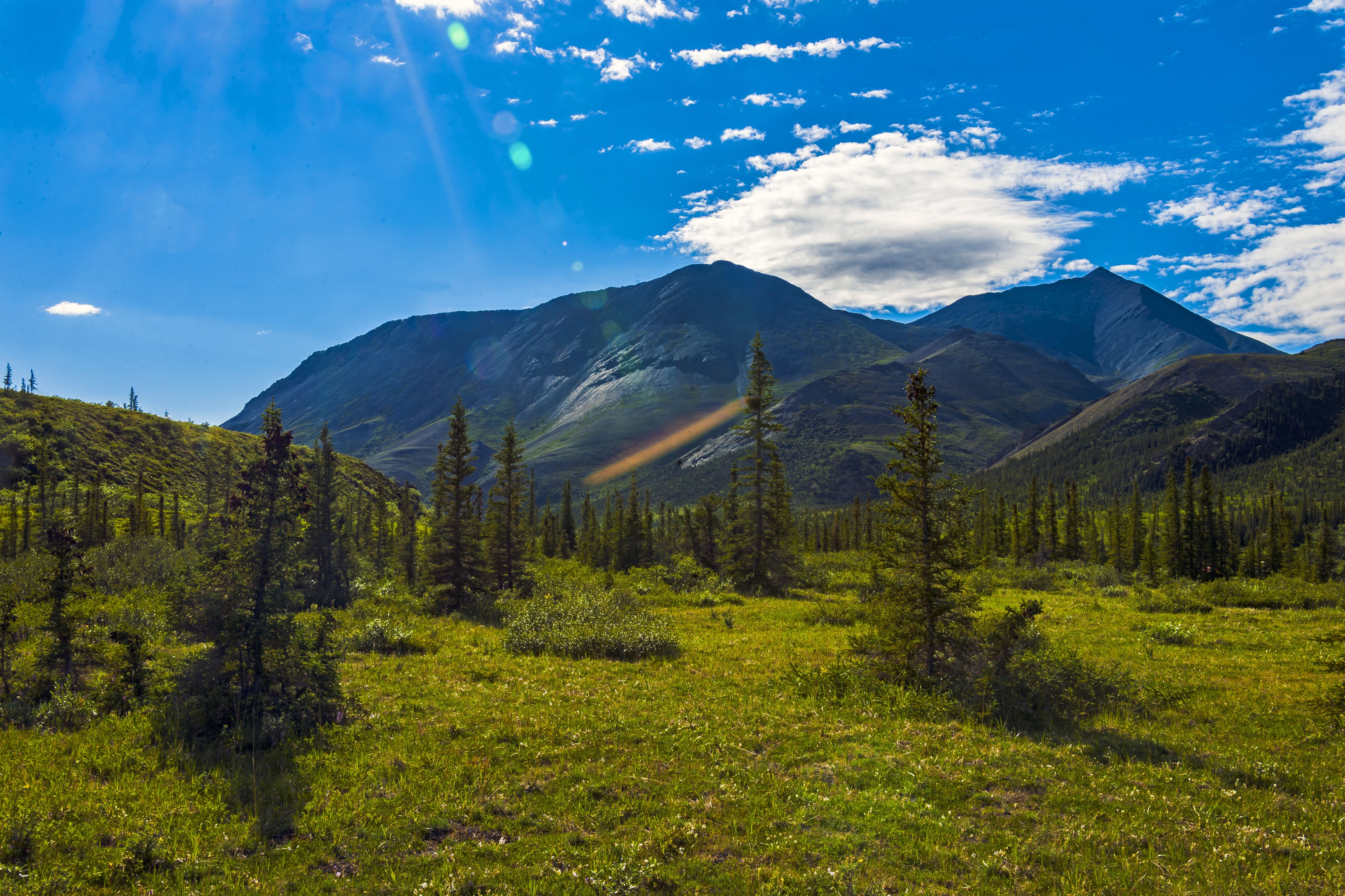 Tundra landscape with clouds, trees mountains and lens flare 2