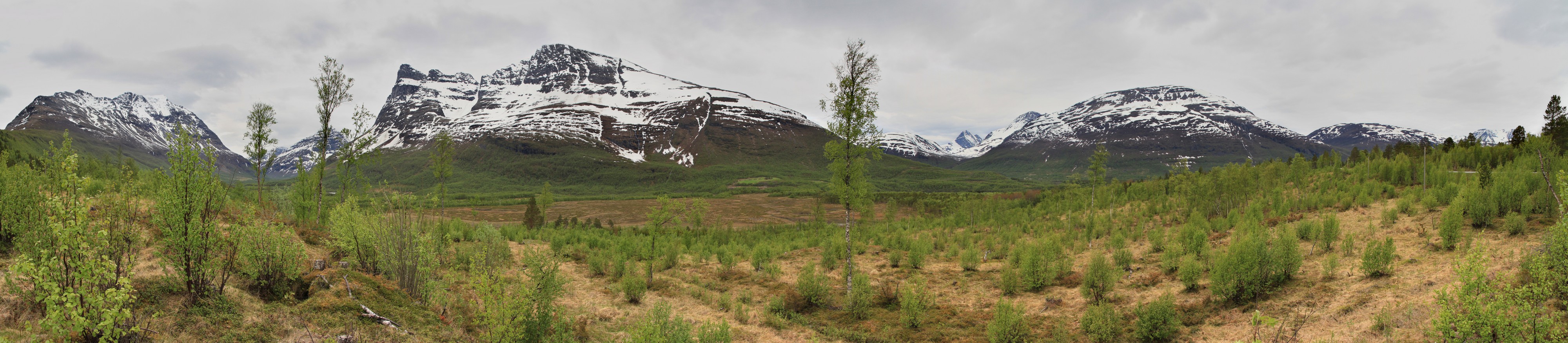View at northern part of Signaldalen, 2011 06
