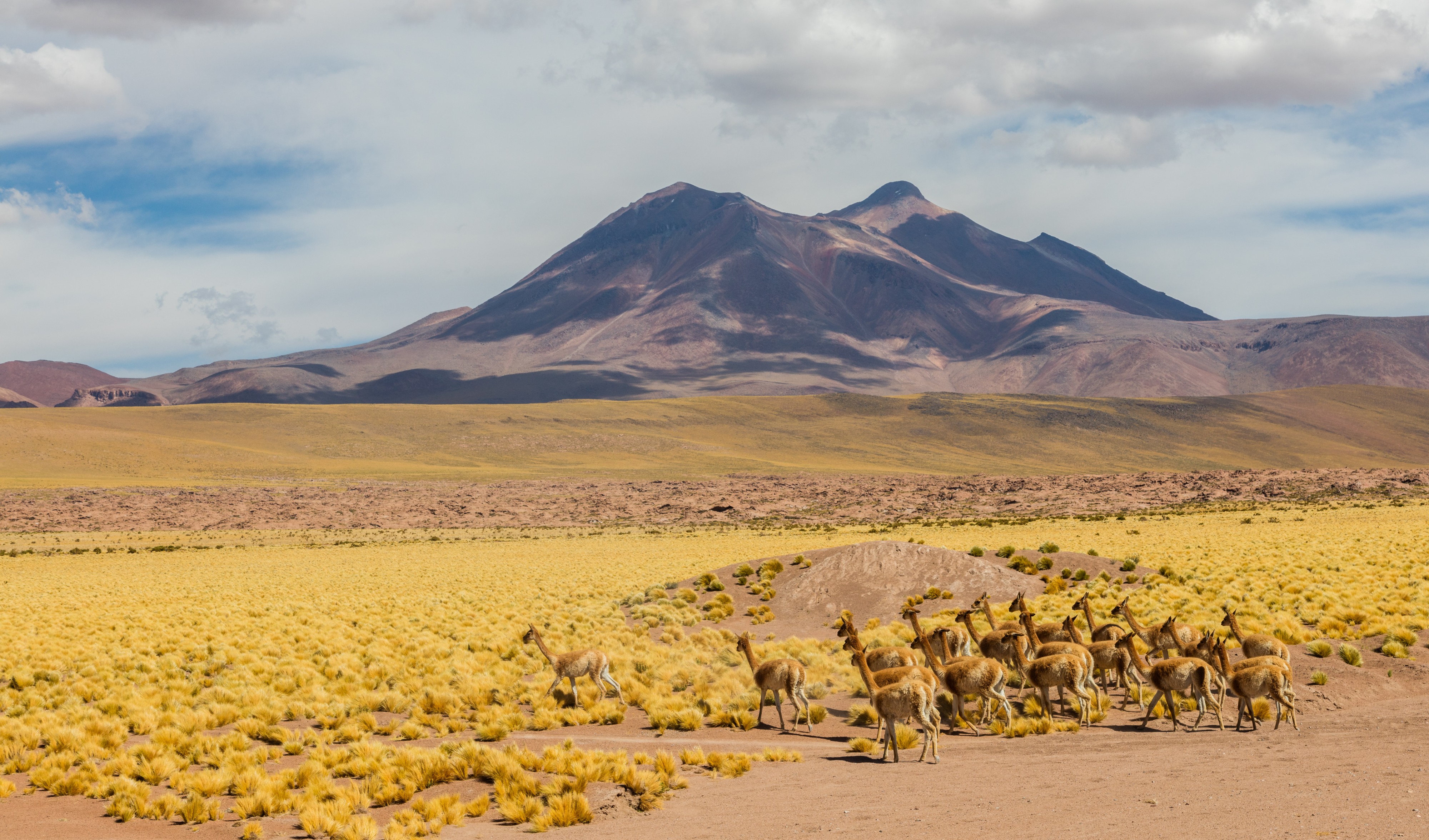 Volcan Miñiques, Chile, 2016-02-08, DD 48
