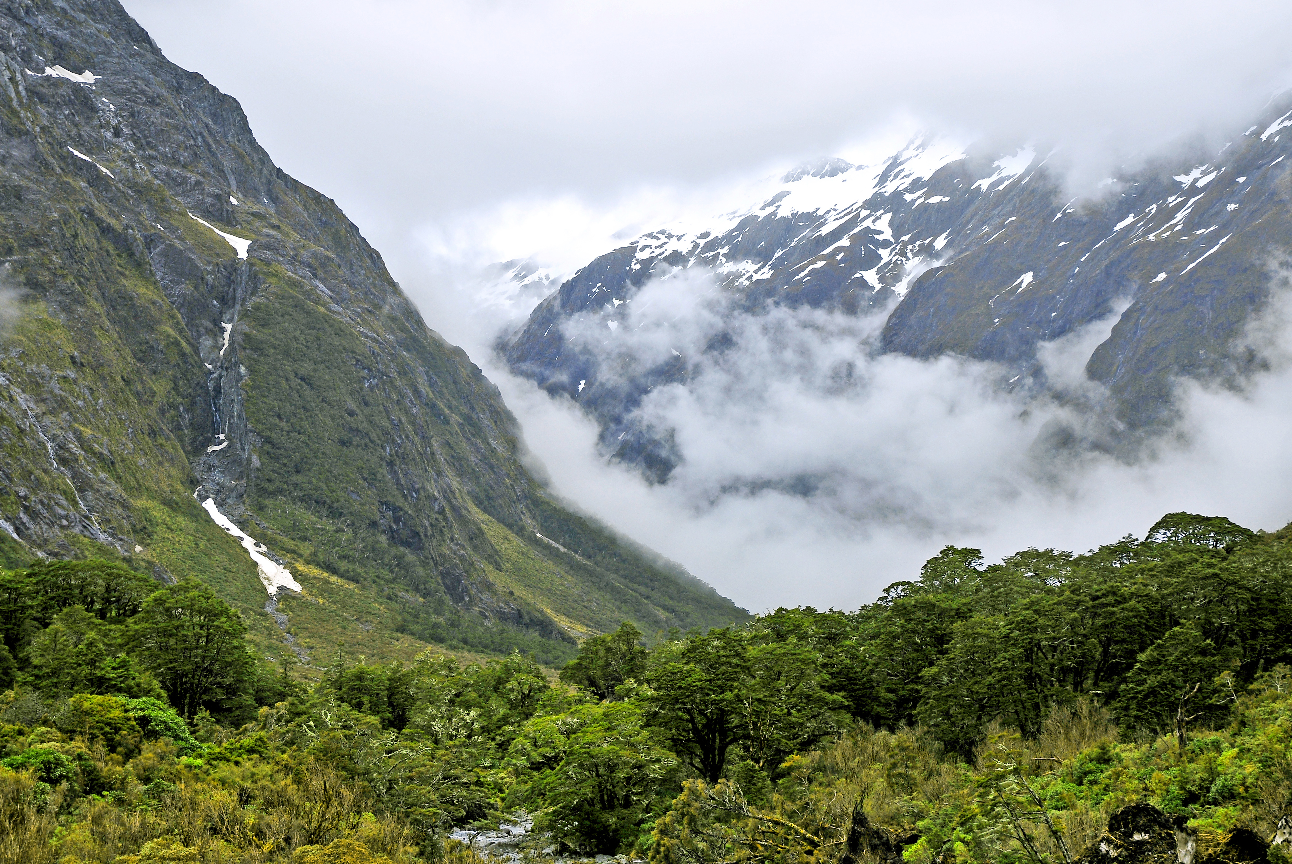 Upper Hollyford Valley 2