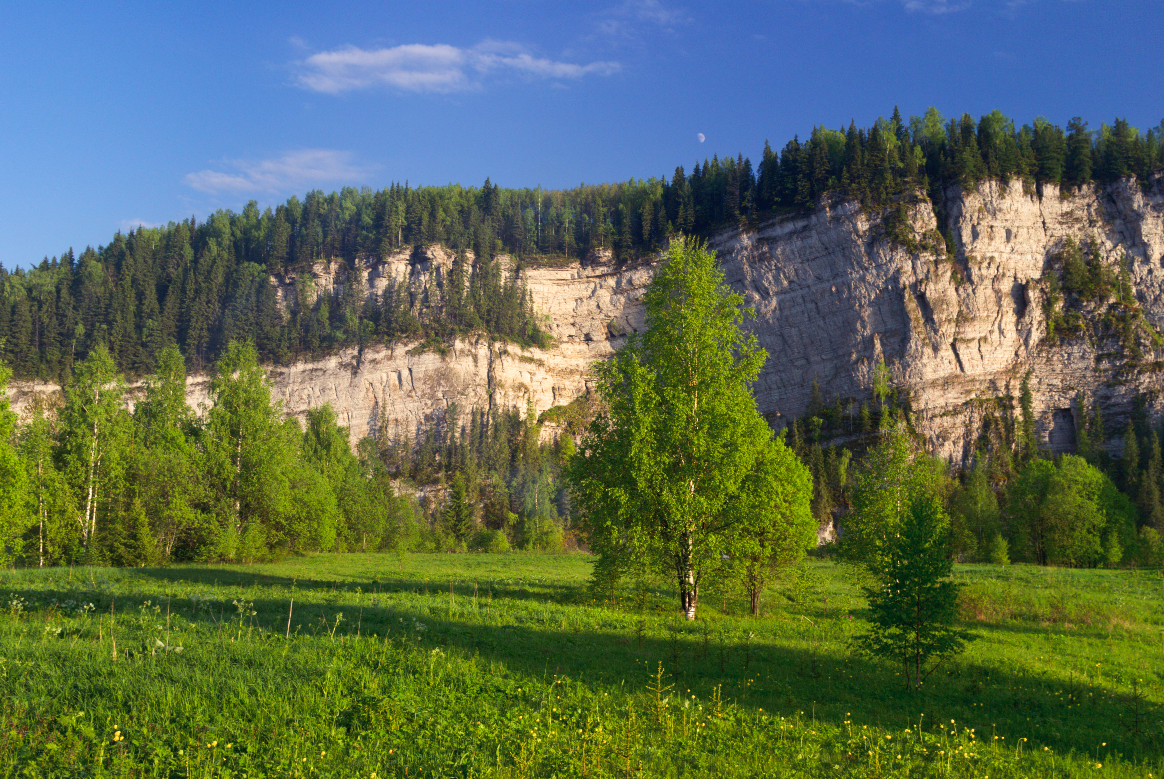 Usva 080612 302 3180