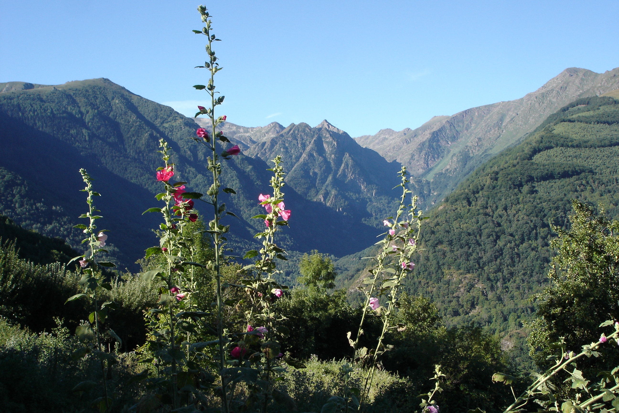 Vallee du Bouychet depuis Gesties