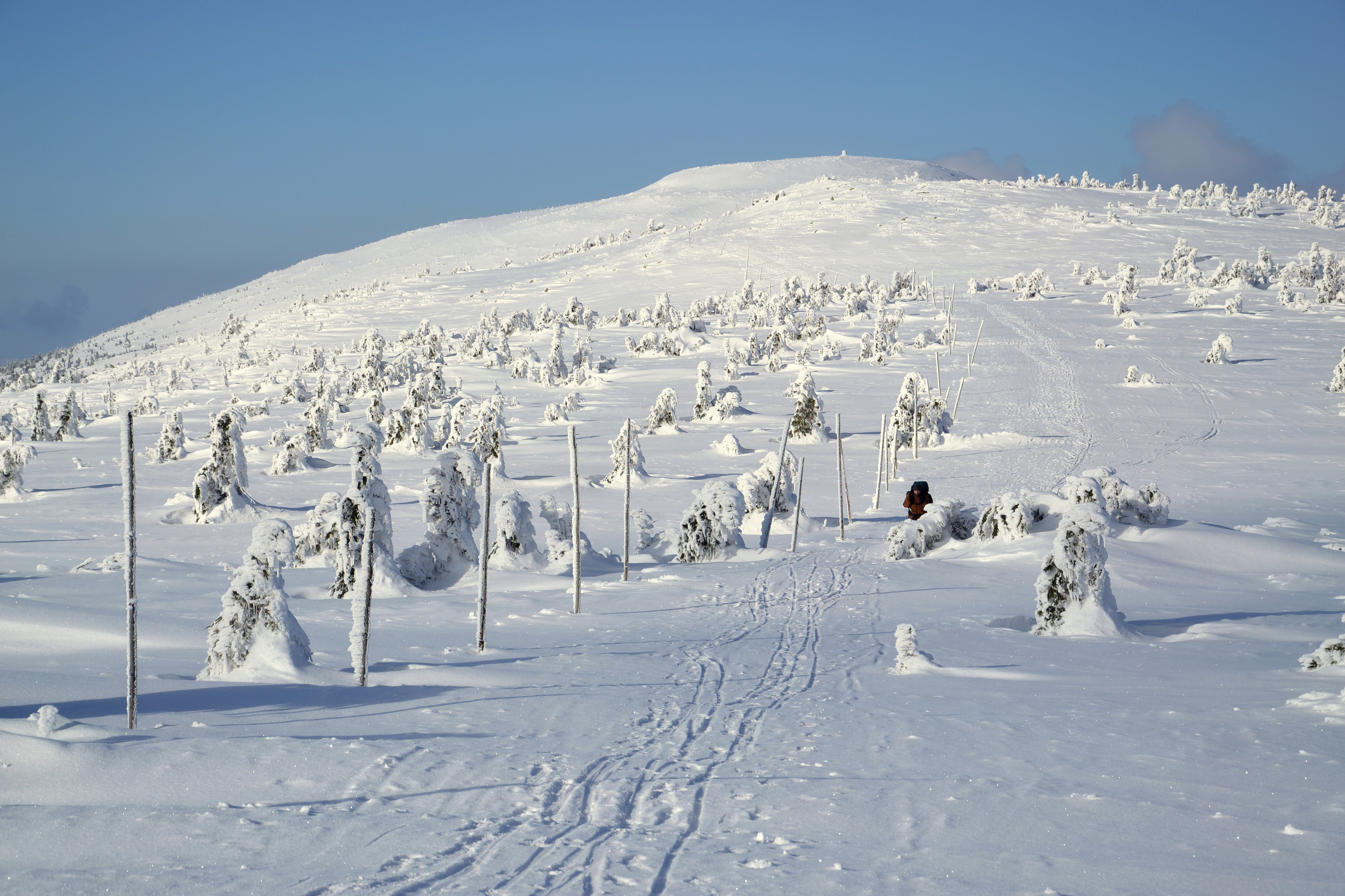 Wielki Szyszak (Vysoké Kolo, Hohe Rand), Krkonoše mountains 01