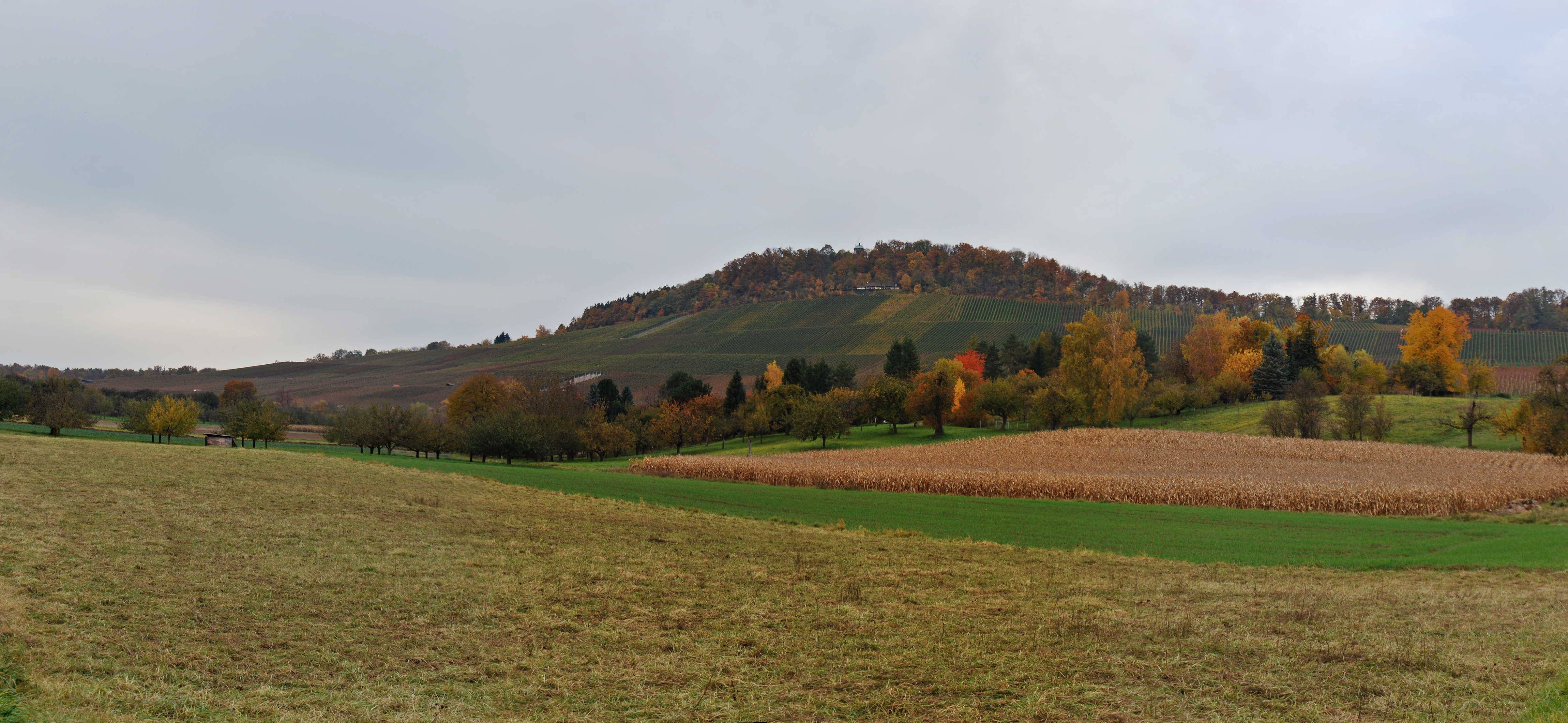Wunnenstein von Süden 2010
