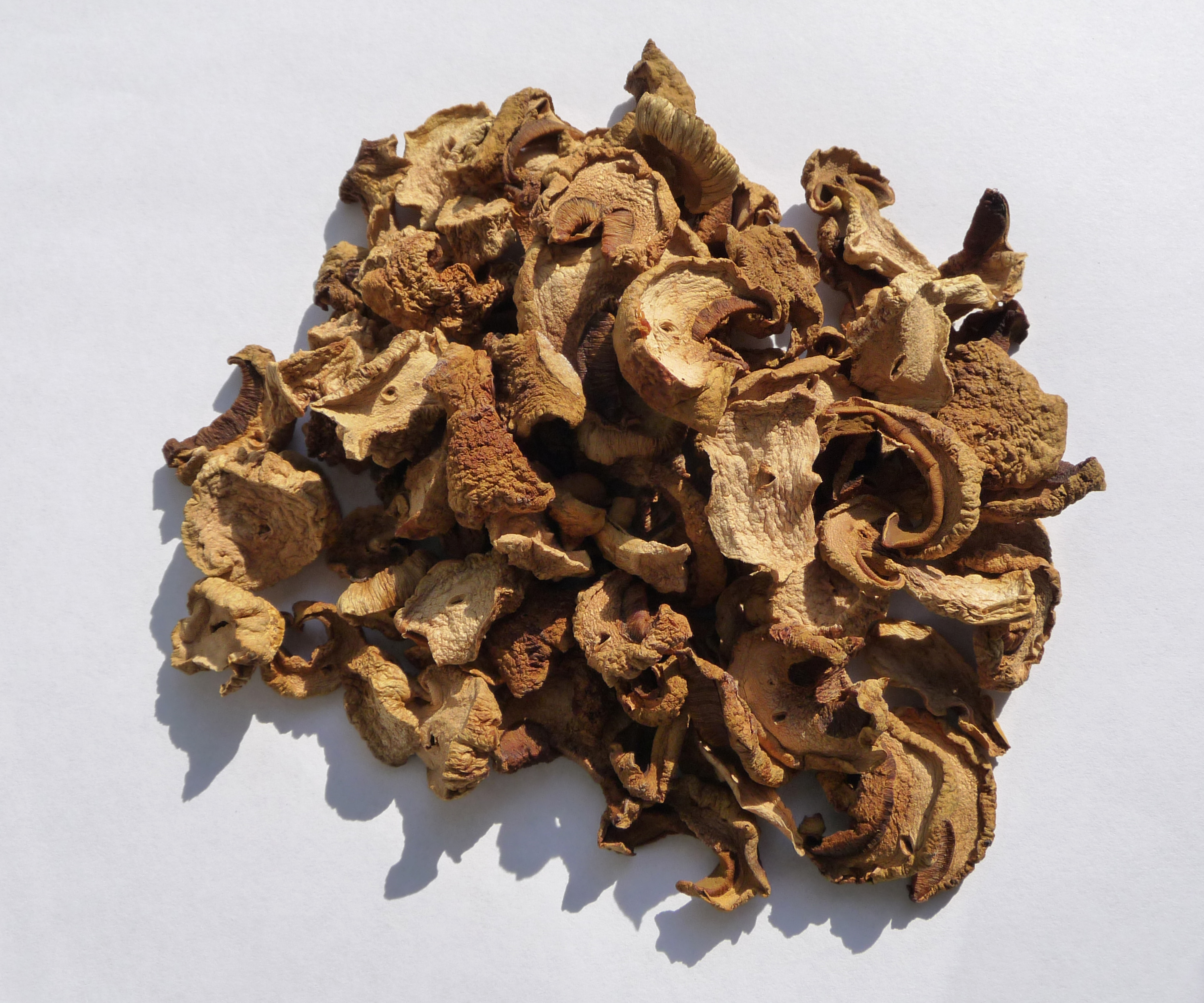 Boletus Impolitus dried 2010 G1