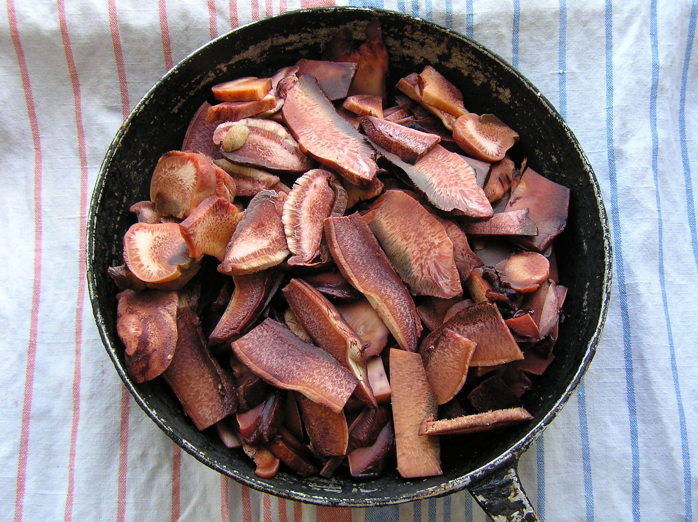 Fistulina hepatica Russia (sliced)