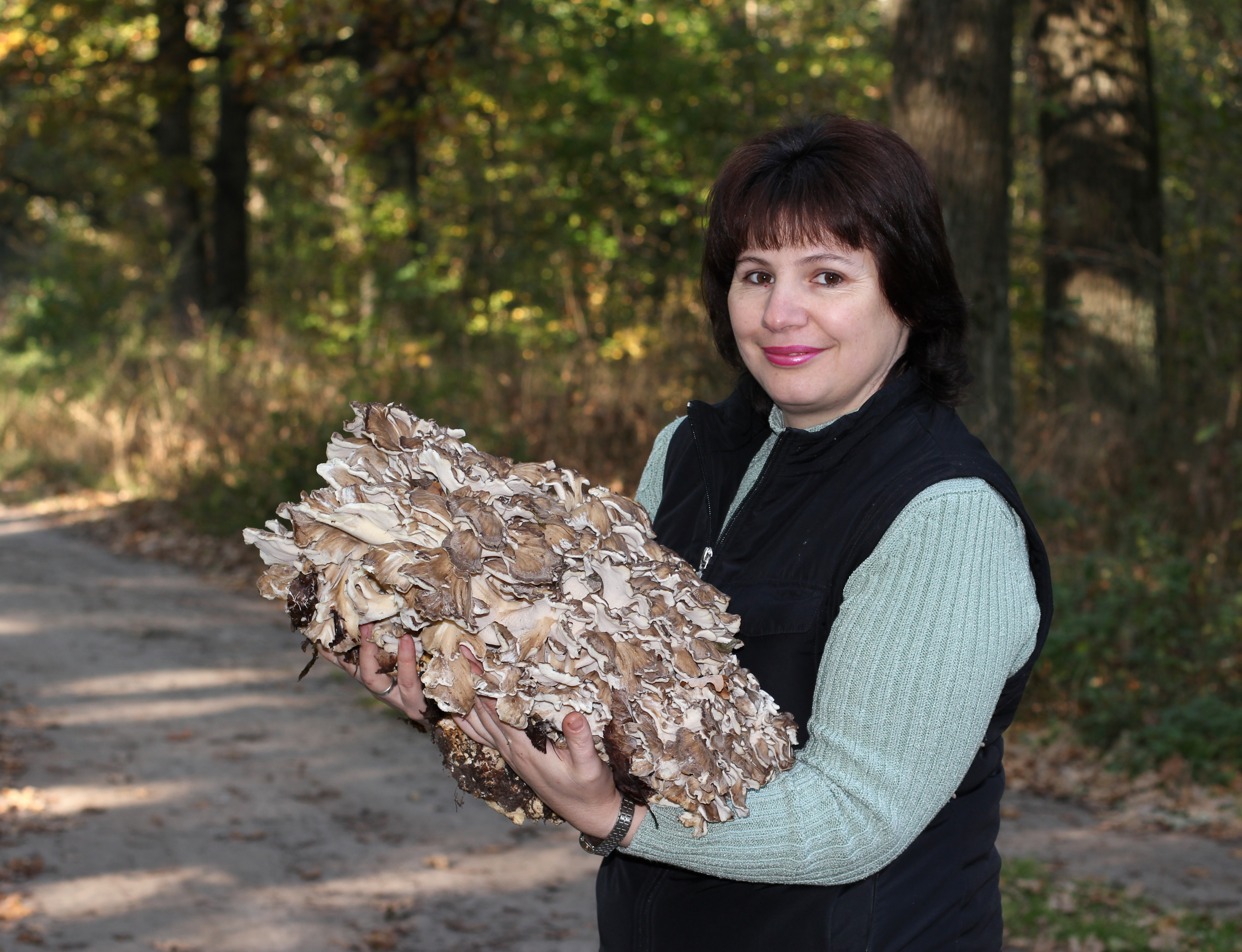 Grifola frondosa 2014 G3
