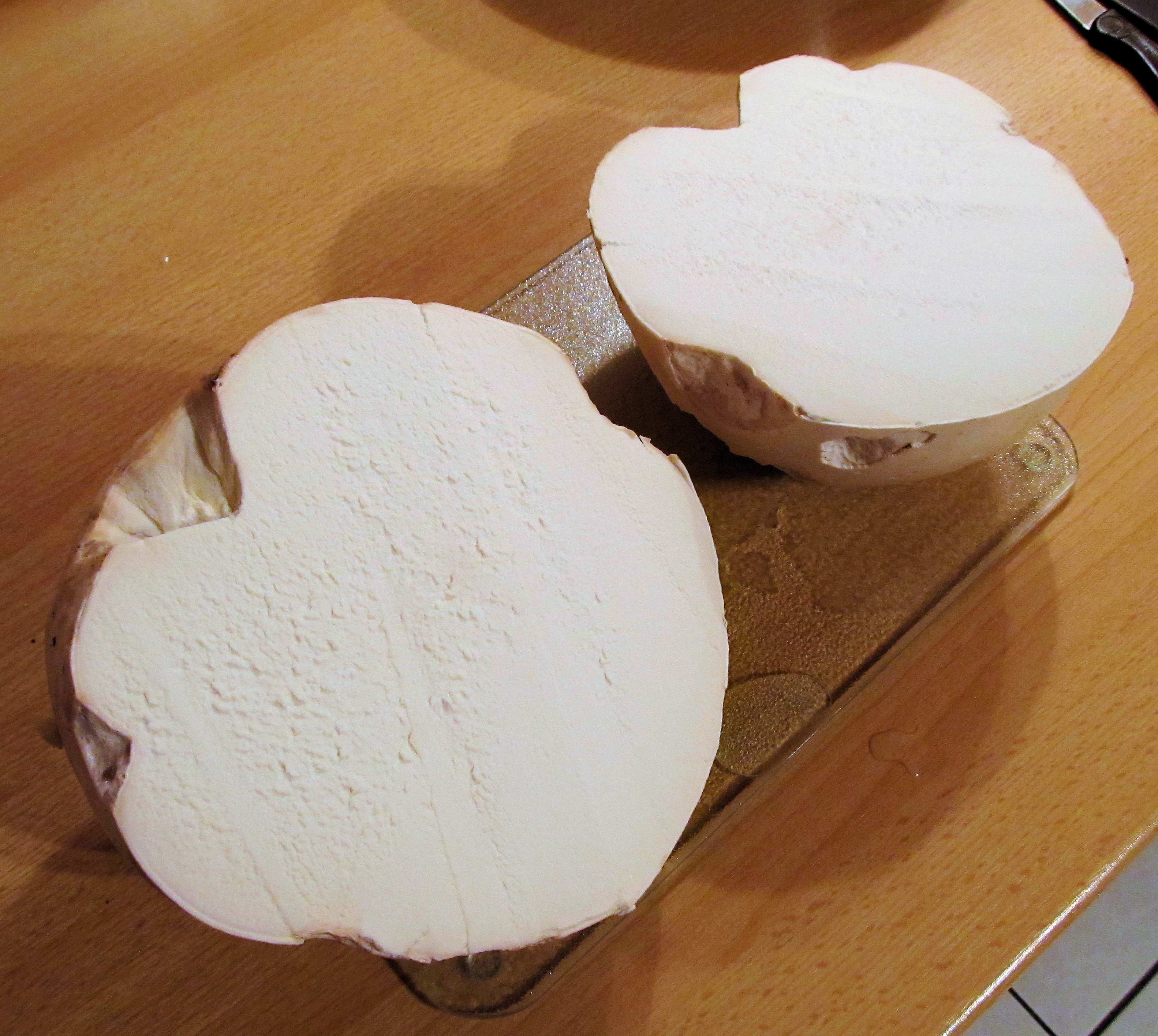 Riesenbovist (Calvatia gigantea) - Querschnitt. Solange der Fruchtkörper noch so weiß ist, sehr schmackhaft - hms(1)