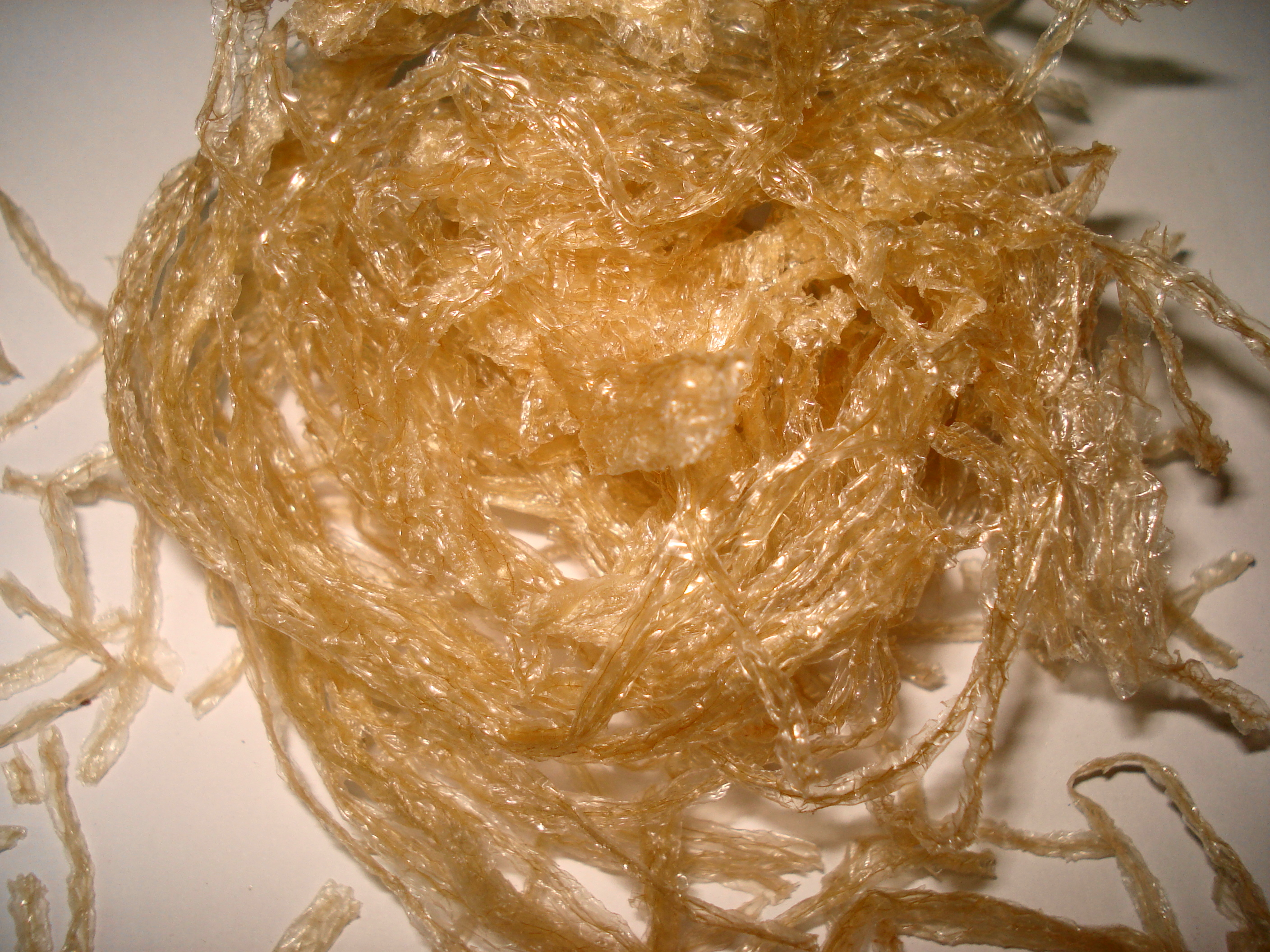 China grass