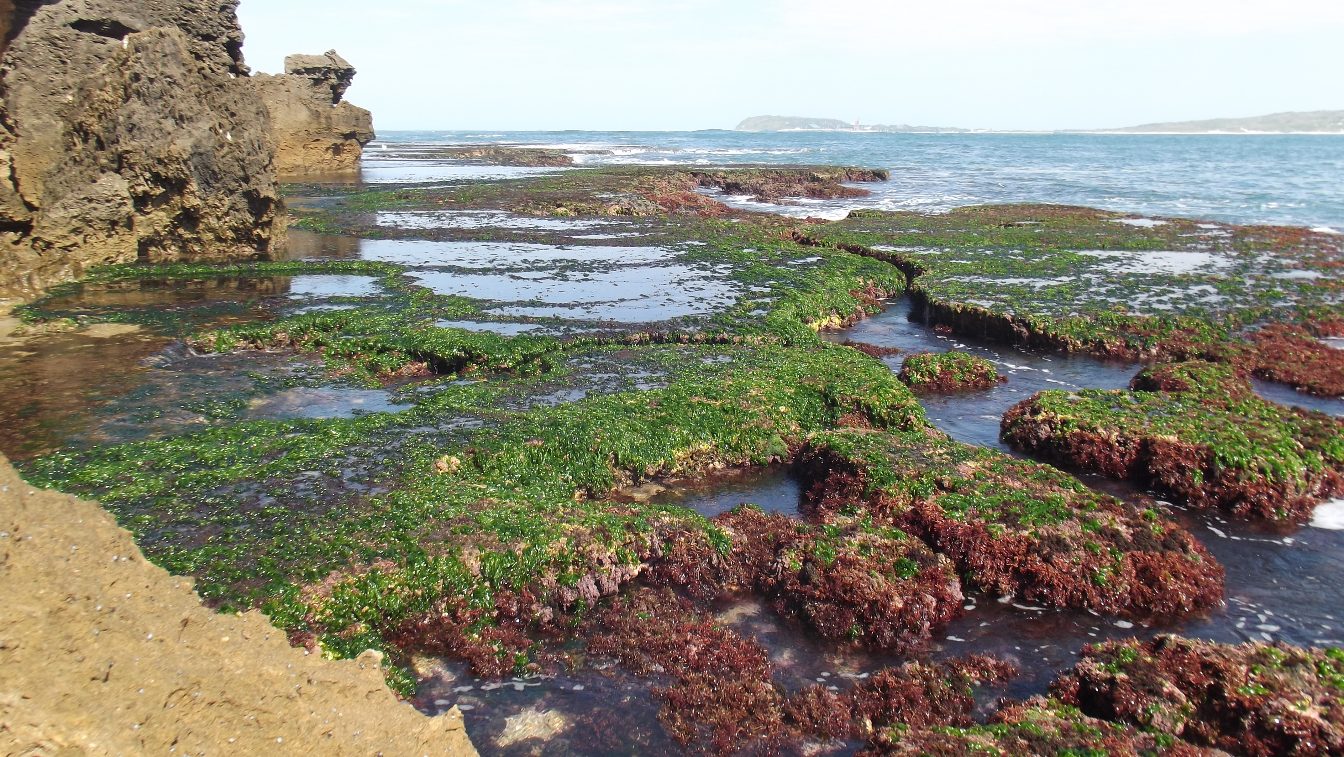 Fort Dauphin rocks 09
