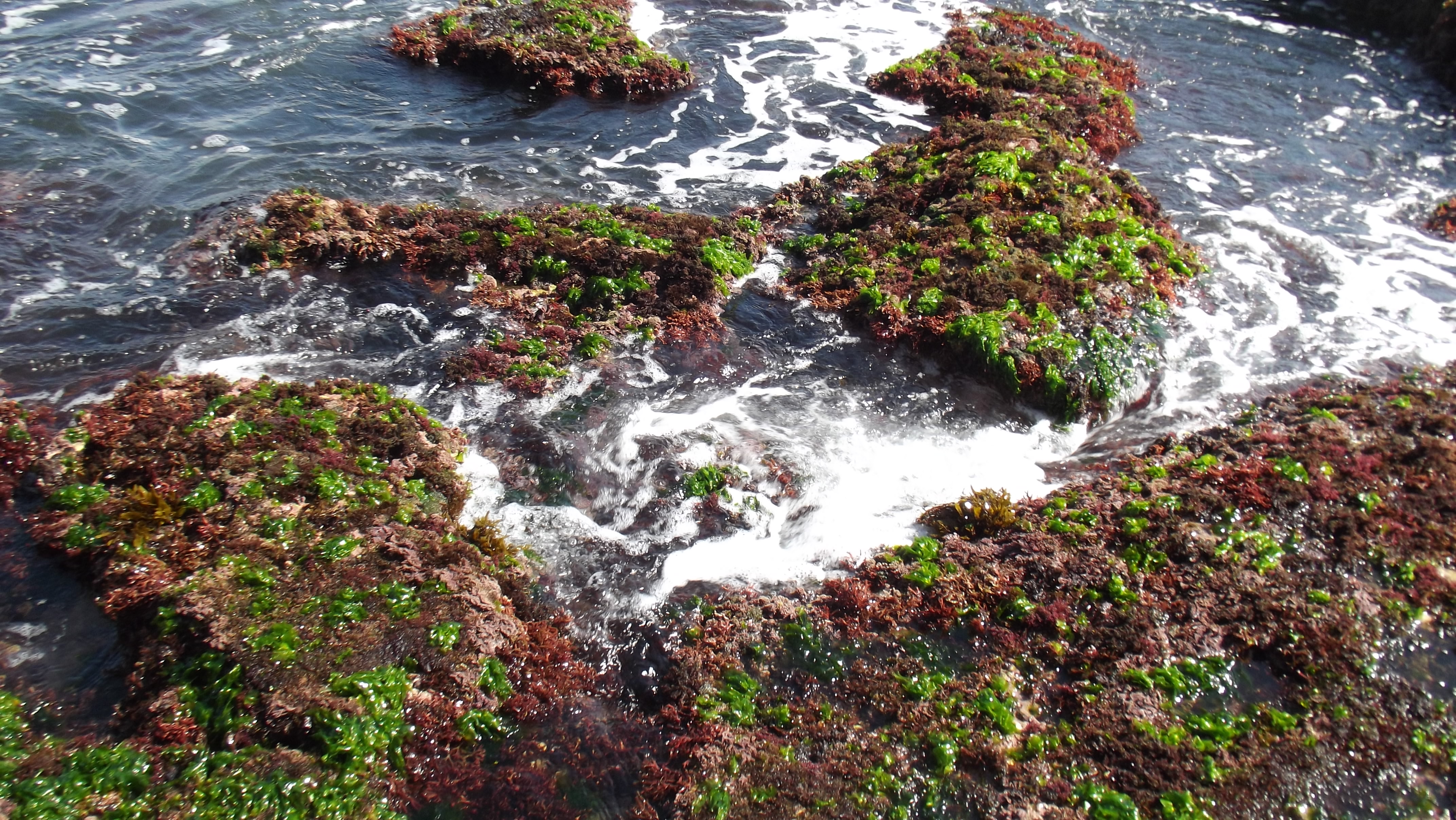 Fort Dauphin rocks 10