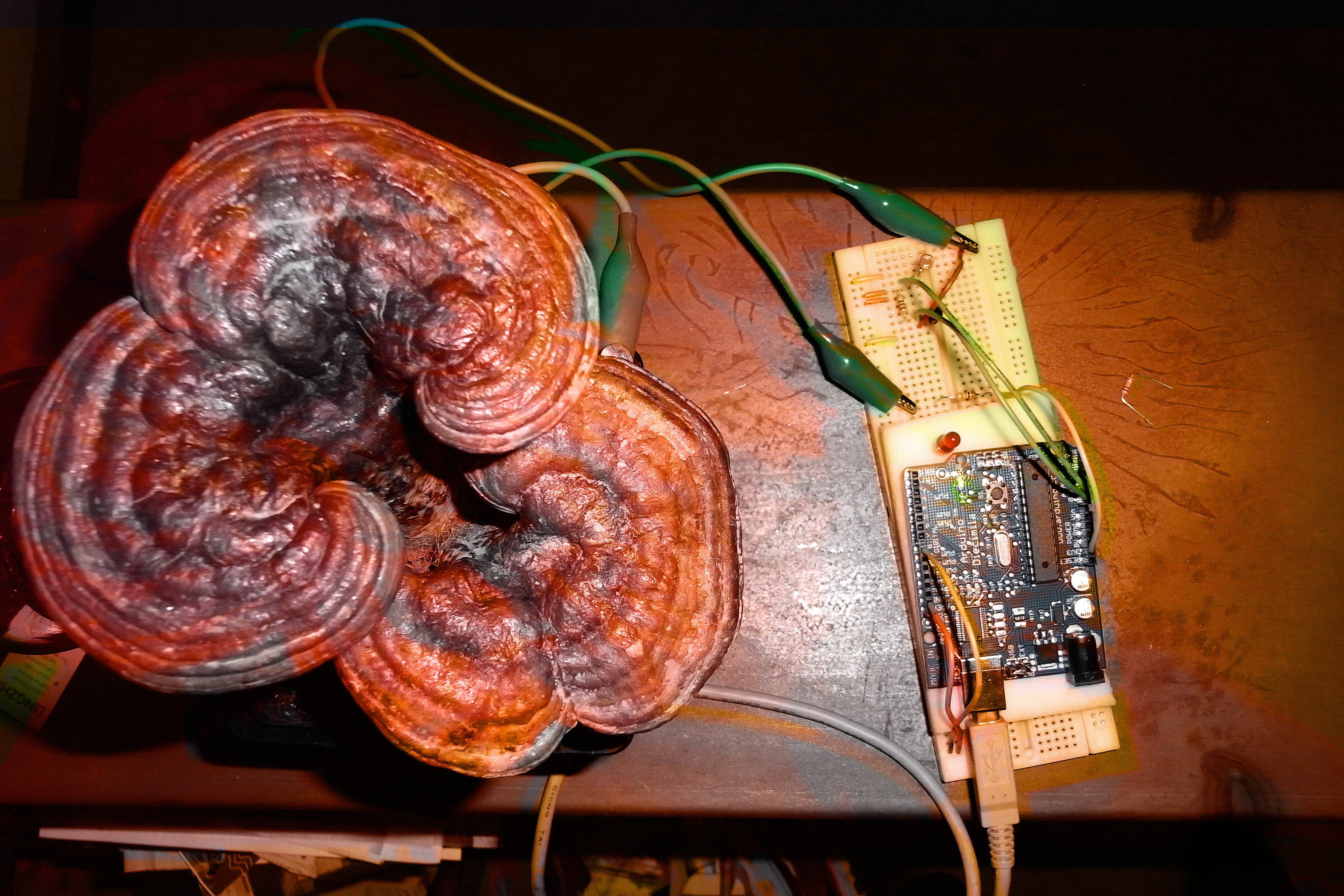 Jreishi4