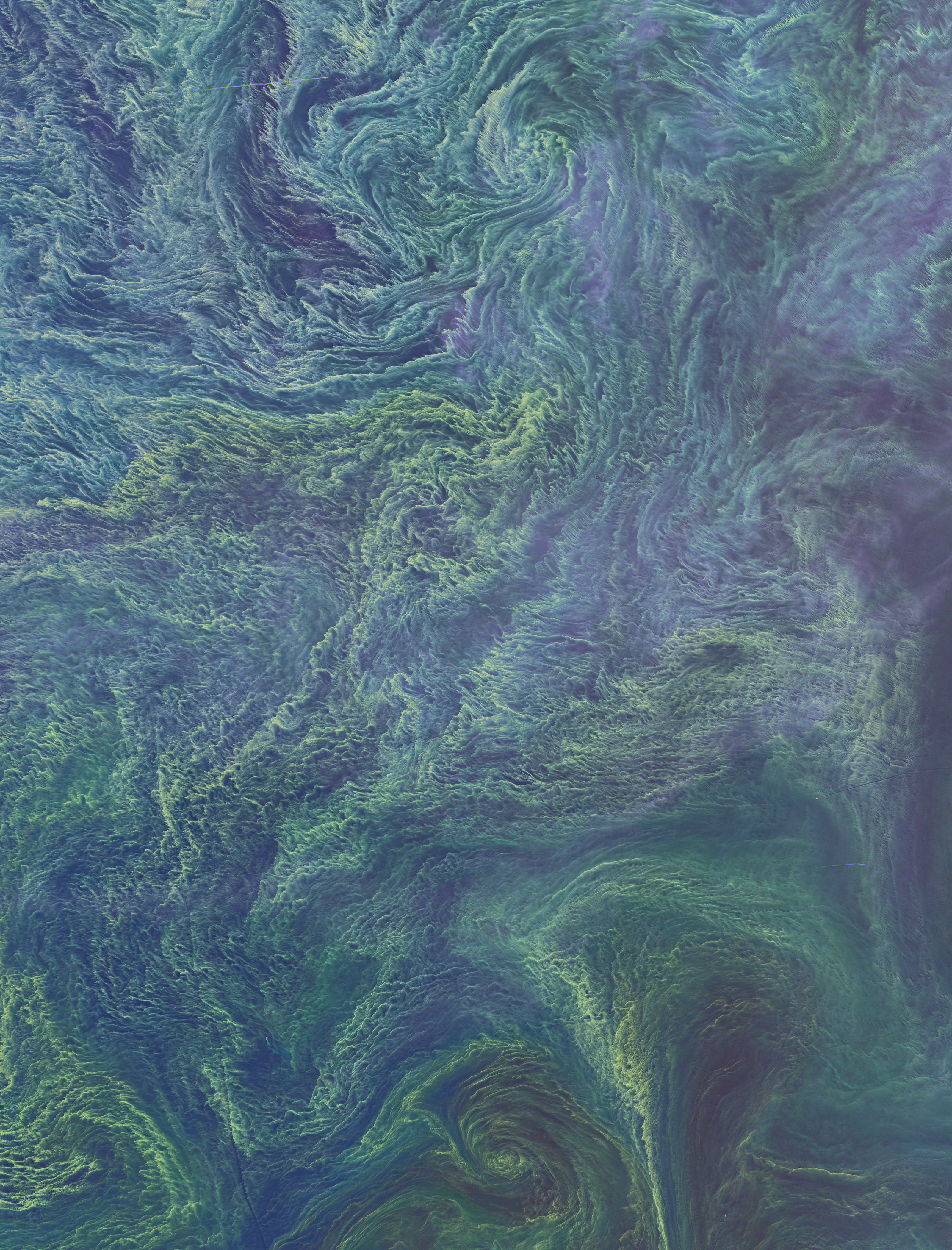 Nasa balticbloom oli 2015223 lrg Baltique aout 2015