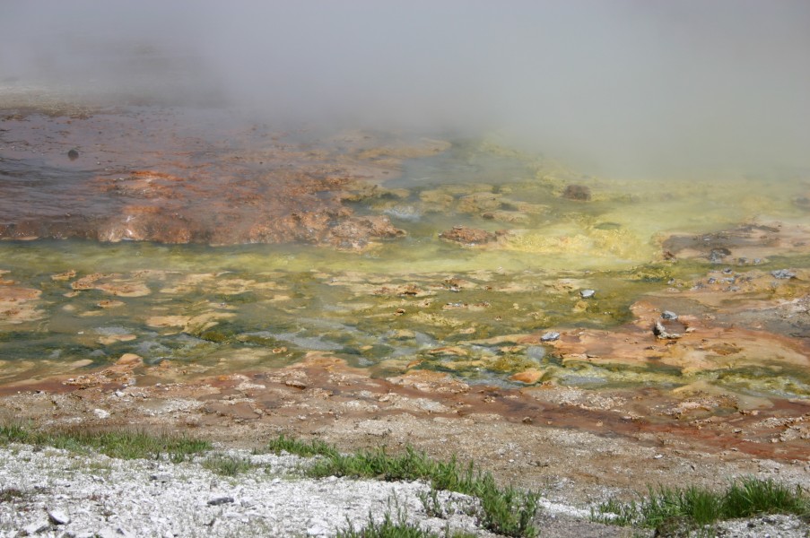 Colourful Thermophilic Archaebacteria Stain in Midway Geyser Basin