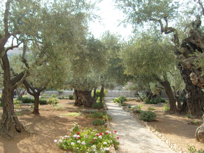 Getsemane1