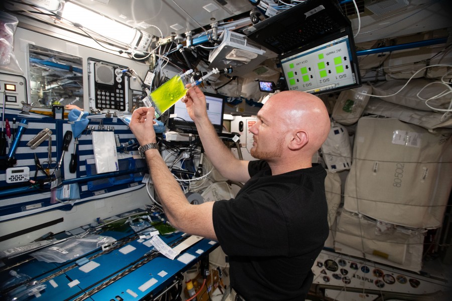 ISS-56 Alexander Gerst works in the Harmony module (2)