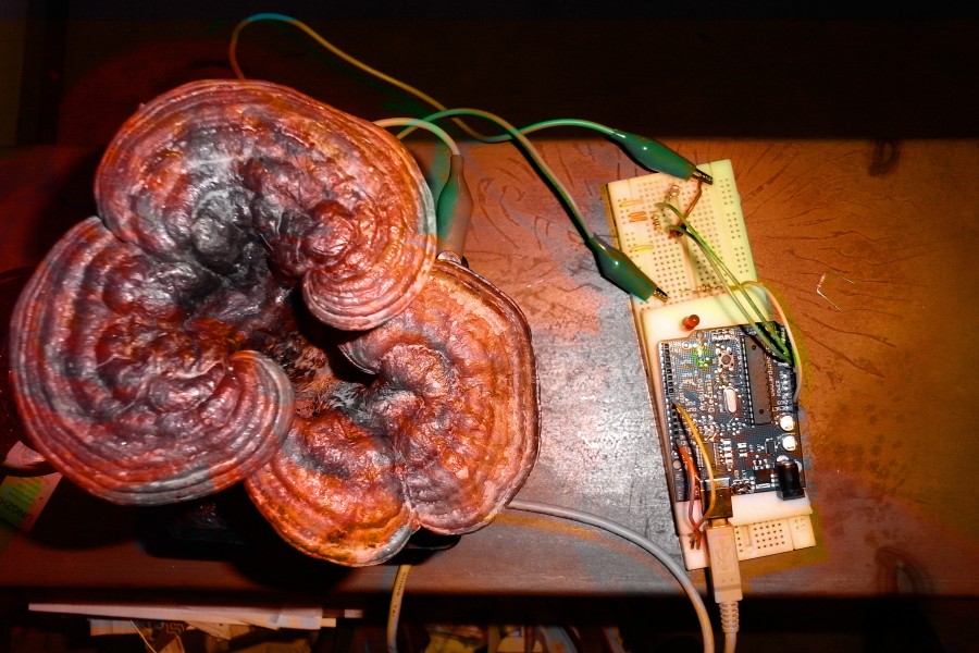 Jreishi4