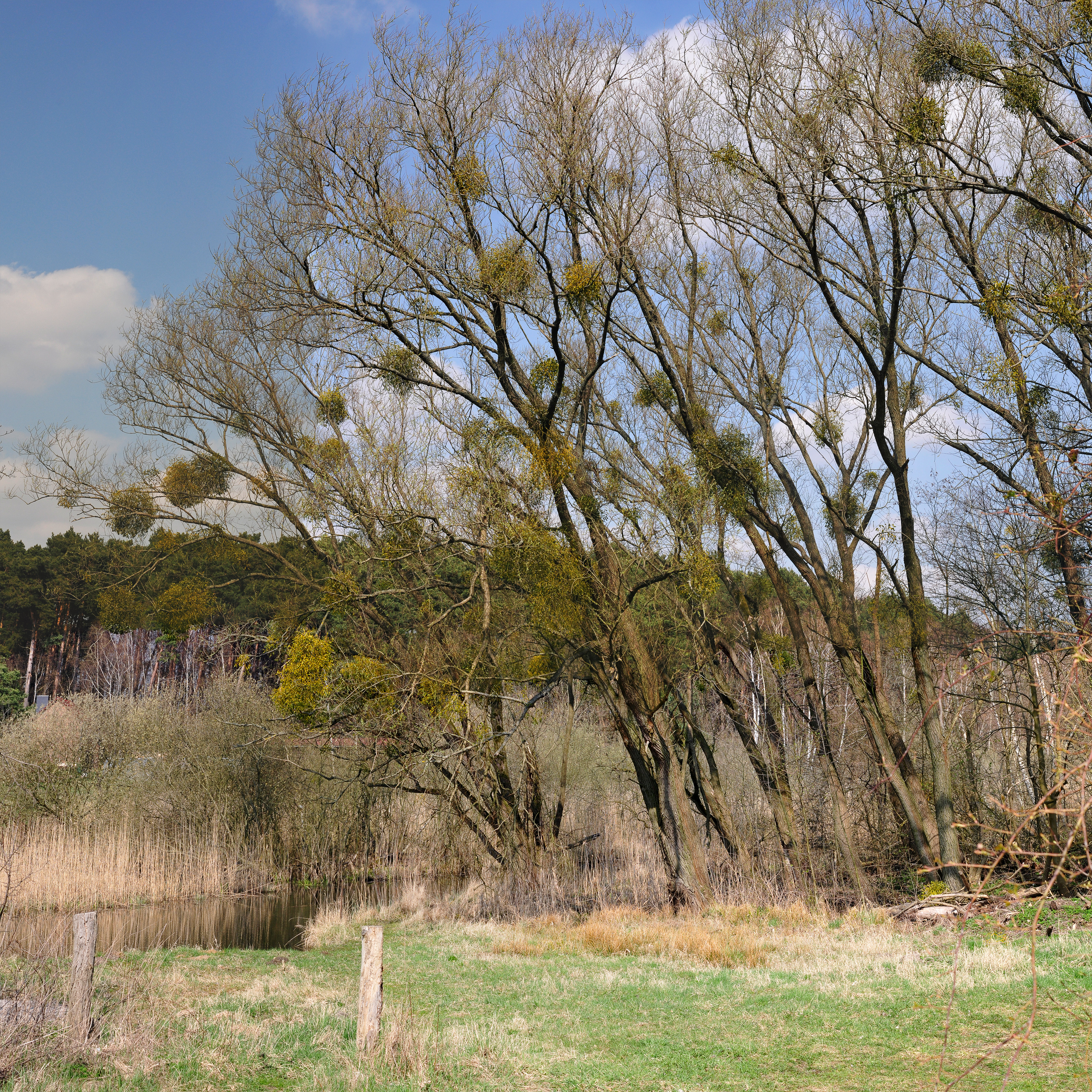 12-04-06-brodowin-by-RalfR-21