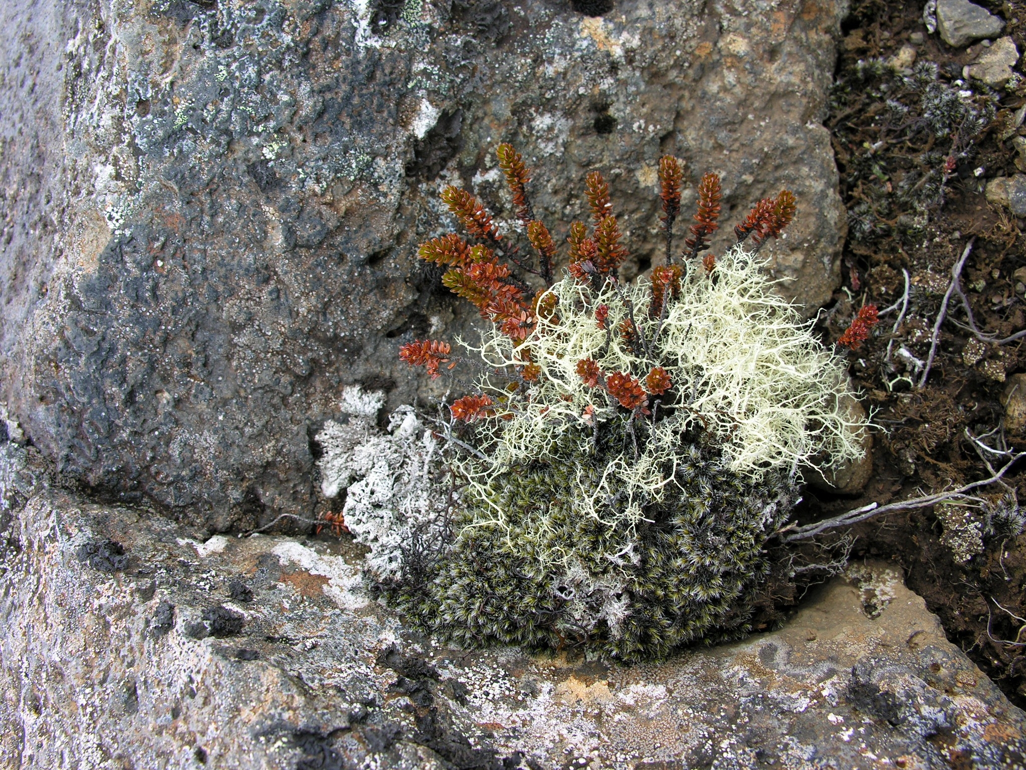 2008-05-20 15 21 04 Iceland-Skinnastaður