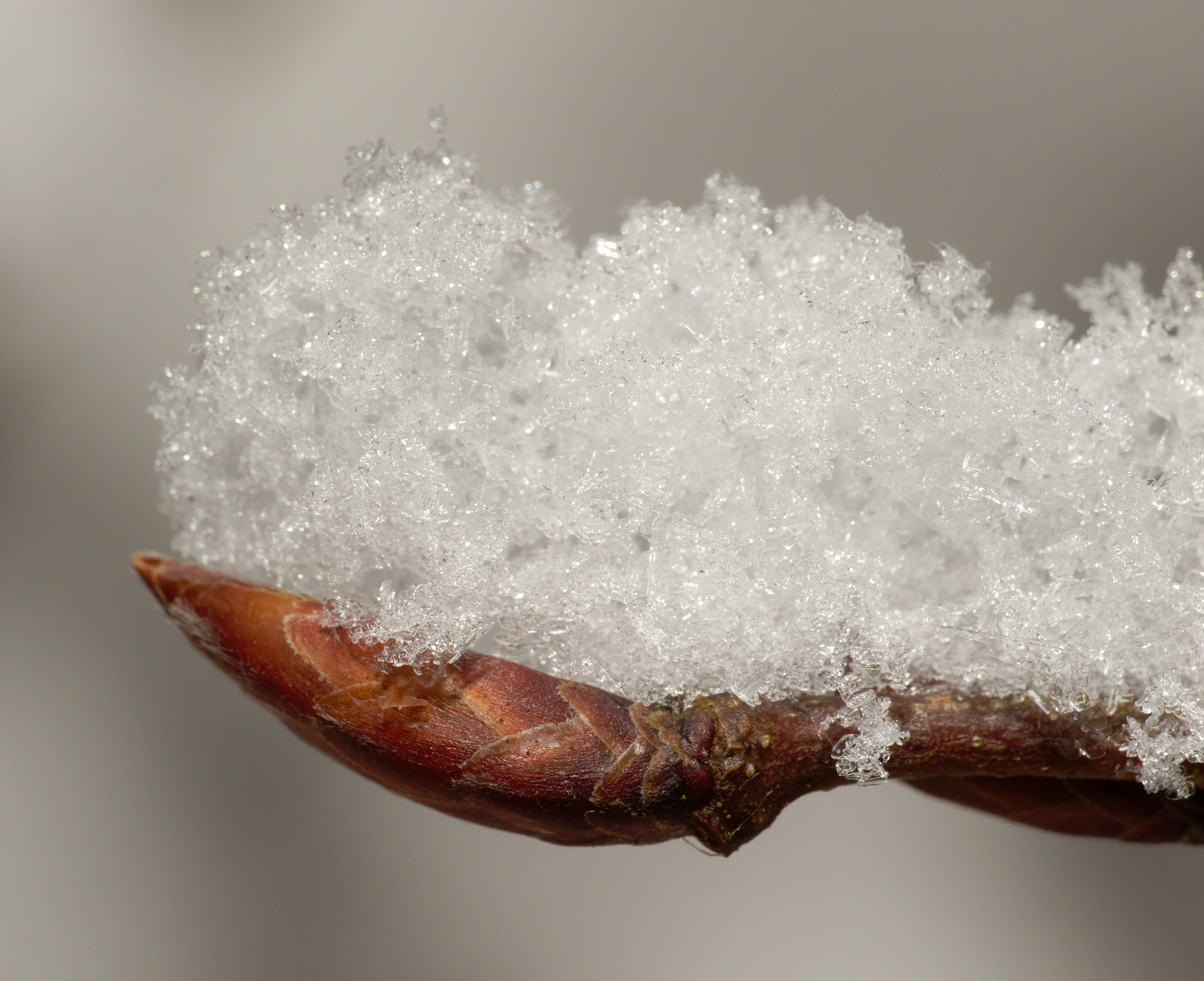 2012-12-08 11-27-57-neige