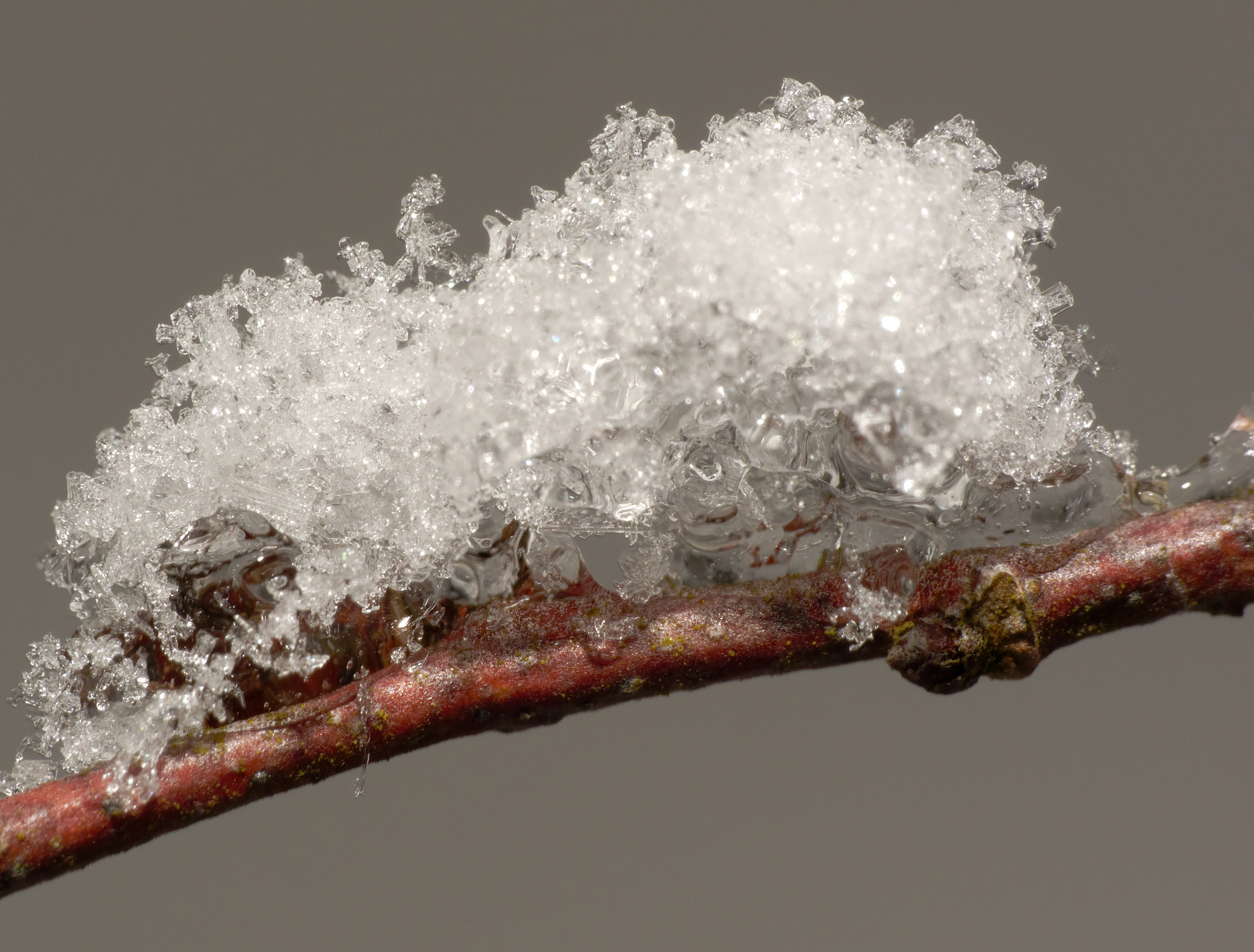 2012-12-08 11-29-34-neige