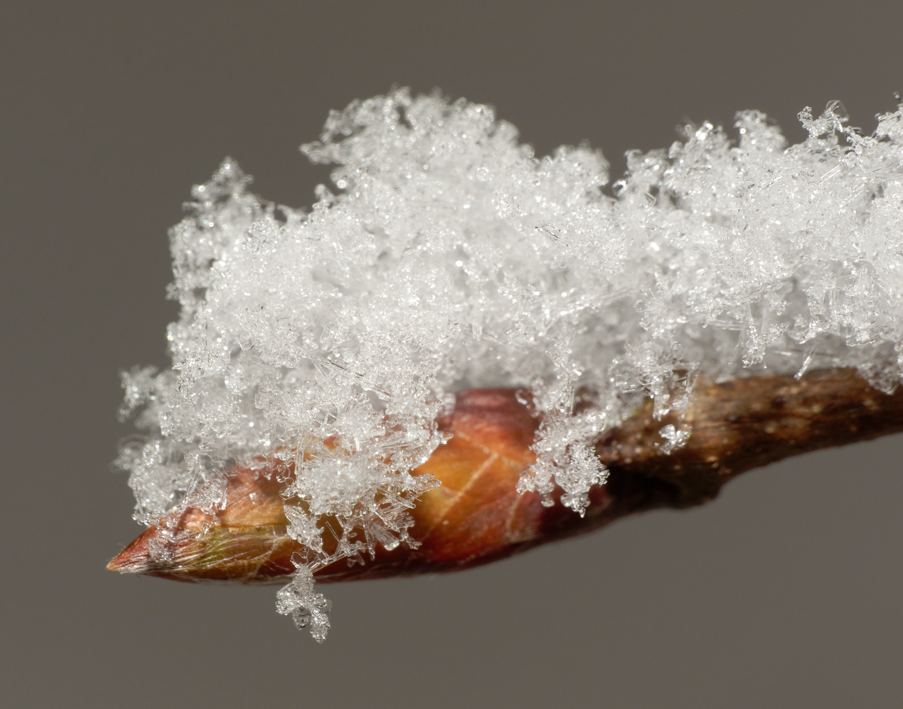 2012-12-08 11-30-36-neige