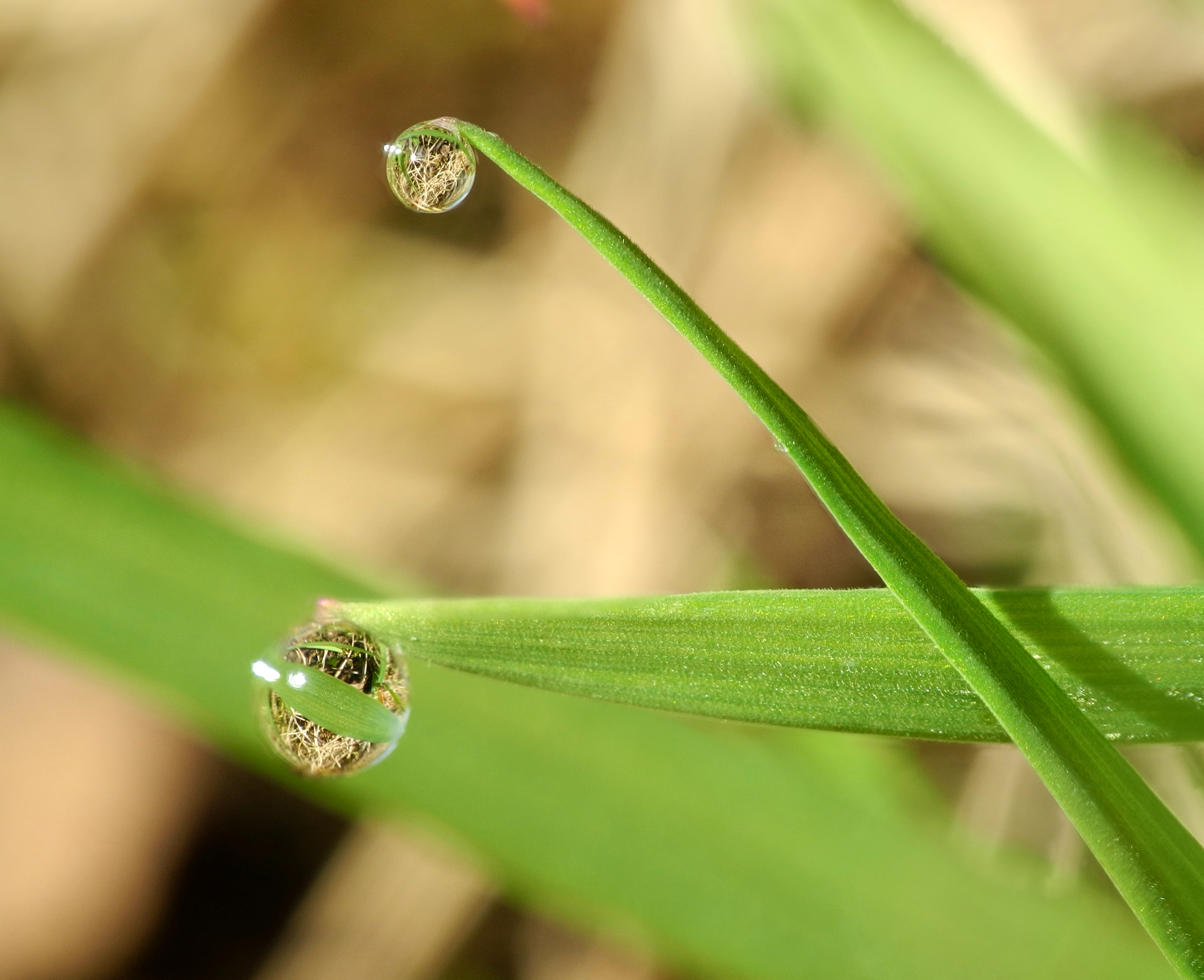 2012-12-19 12-47-47-gouttes-eau-9f