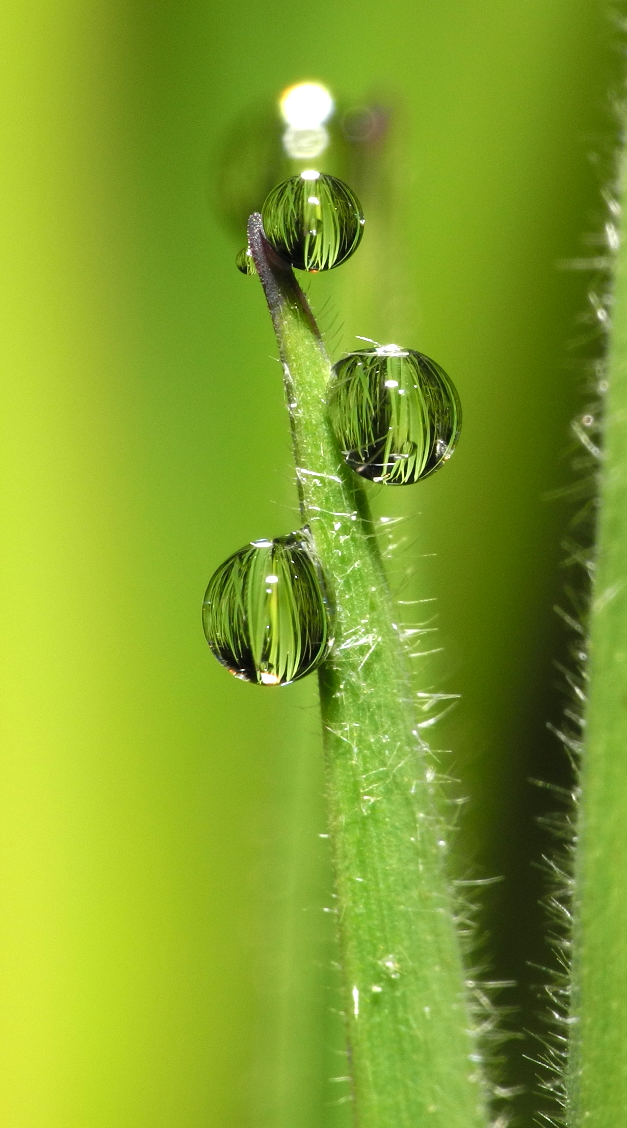 2013-05-11 22-03-08-gouttes