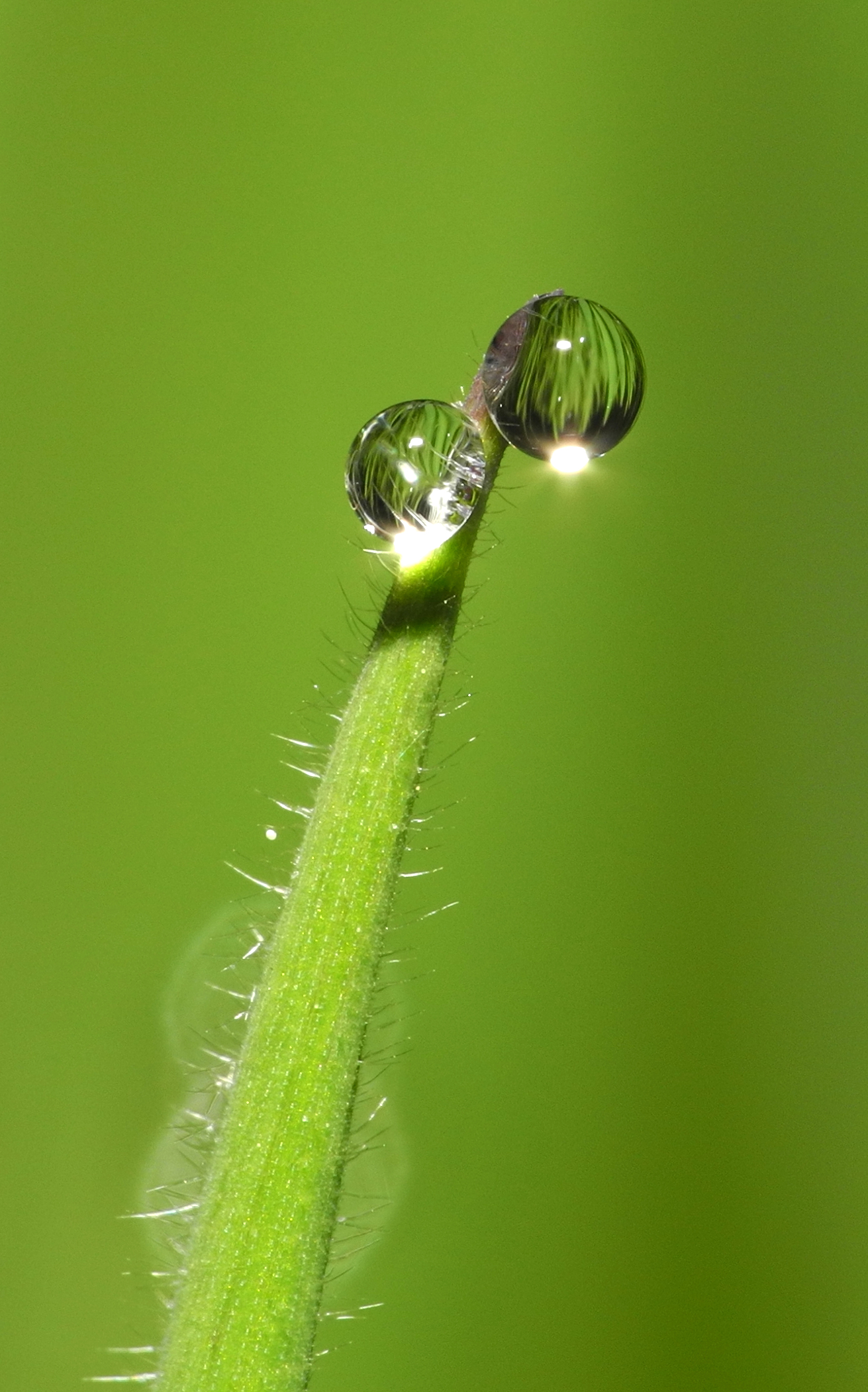 2013-05-11 22-07-22-gouttes