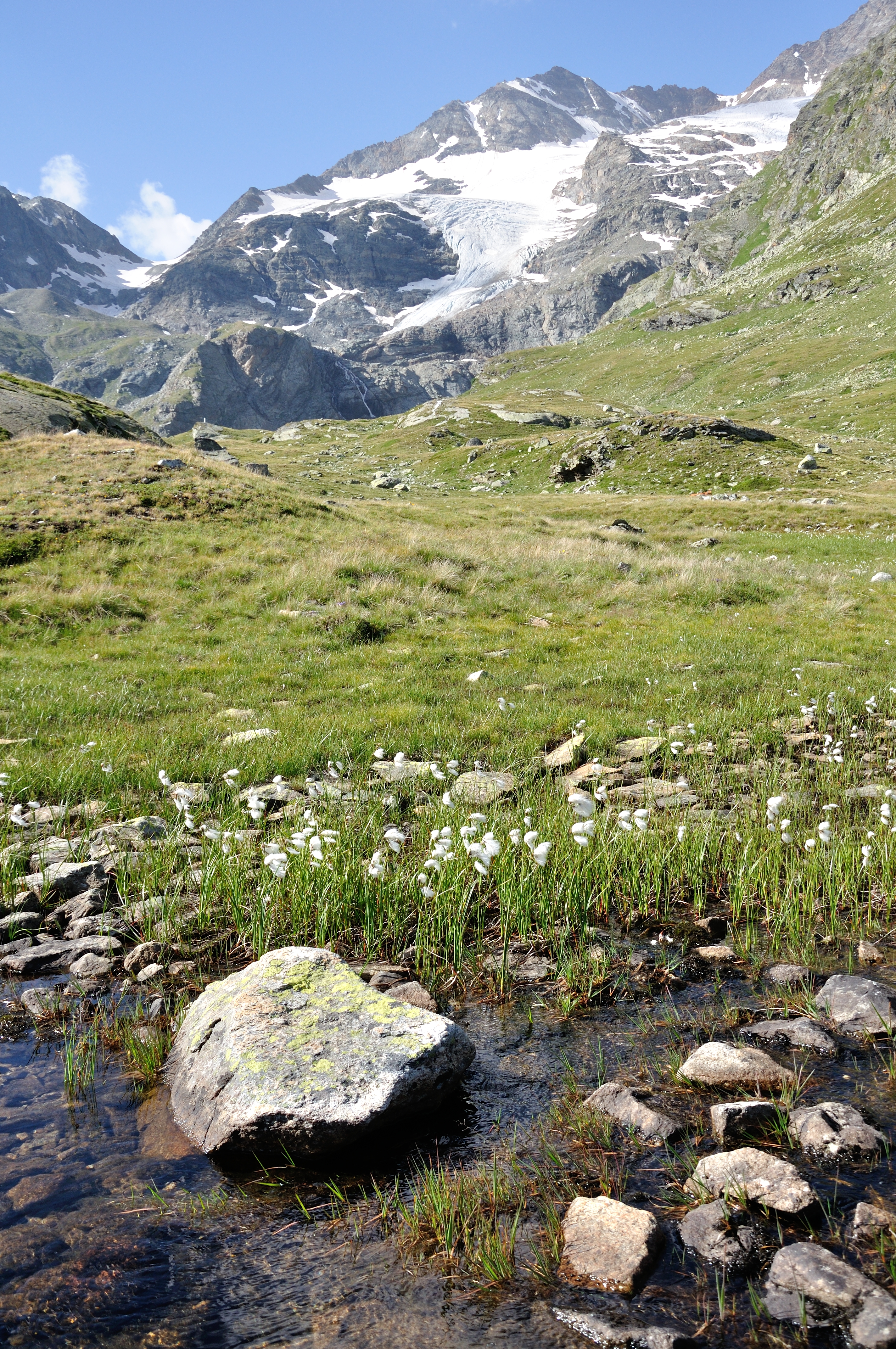 2013-08-05 07-38-46 Switzerland Kanton Graubünden Ospizio Bernina Bernina Hospiz