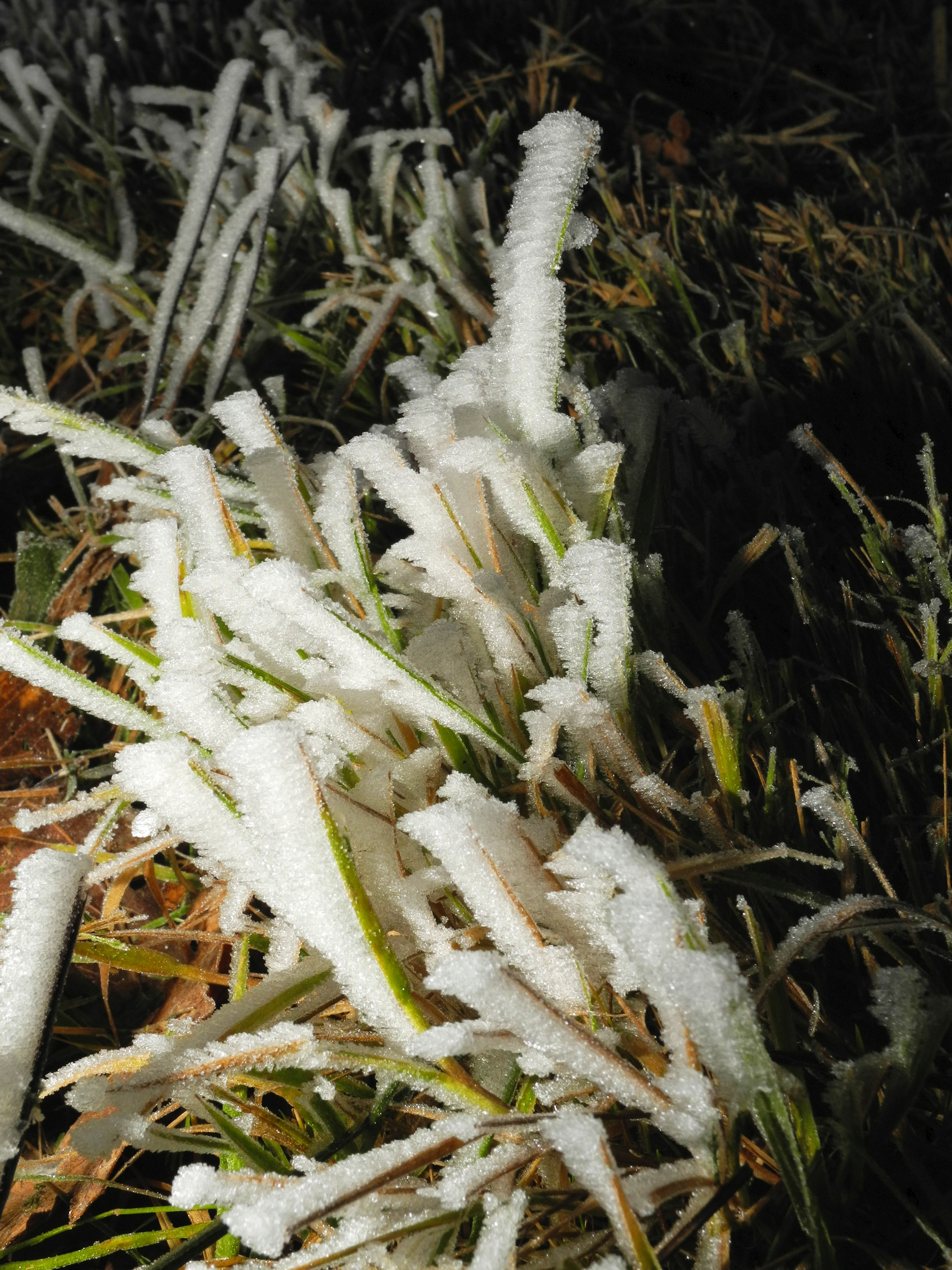 2013-12-13 08-04-07 givre