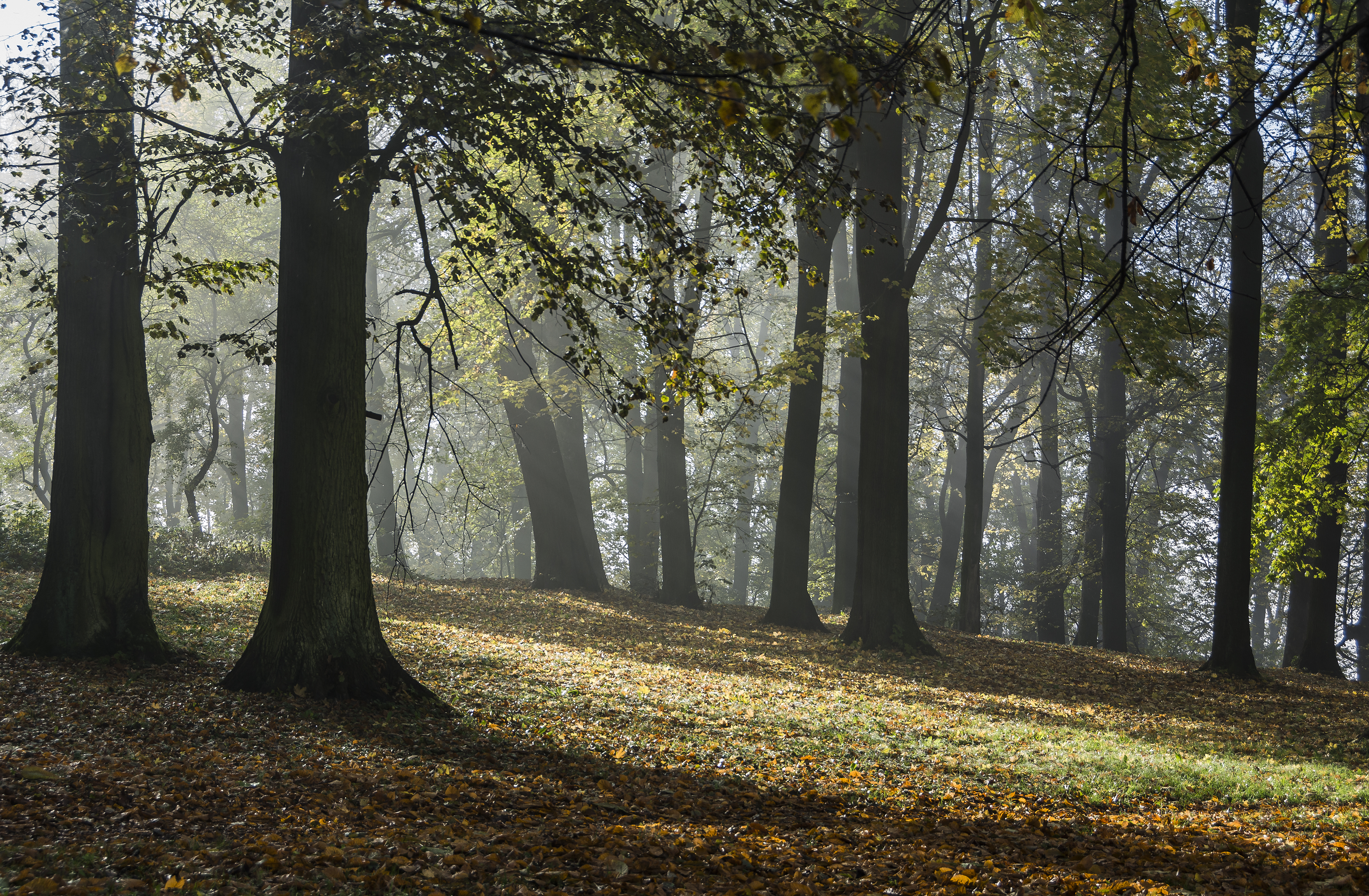 2014 Park w Kłodzku