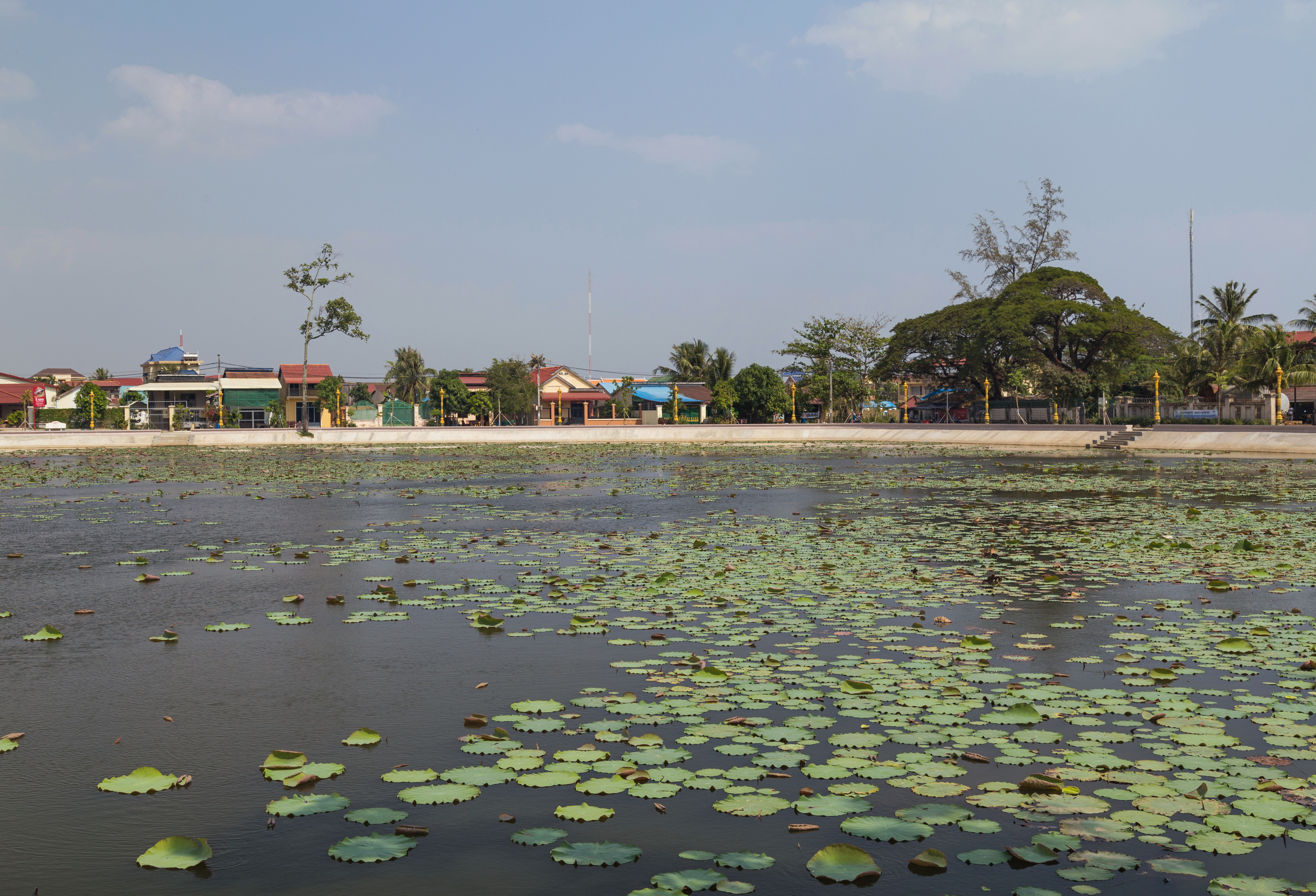 2016 Kampot, Staw lotosów (04)