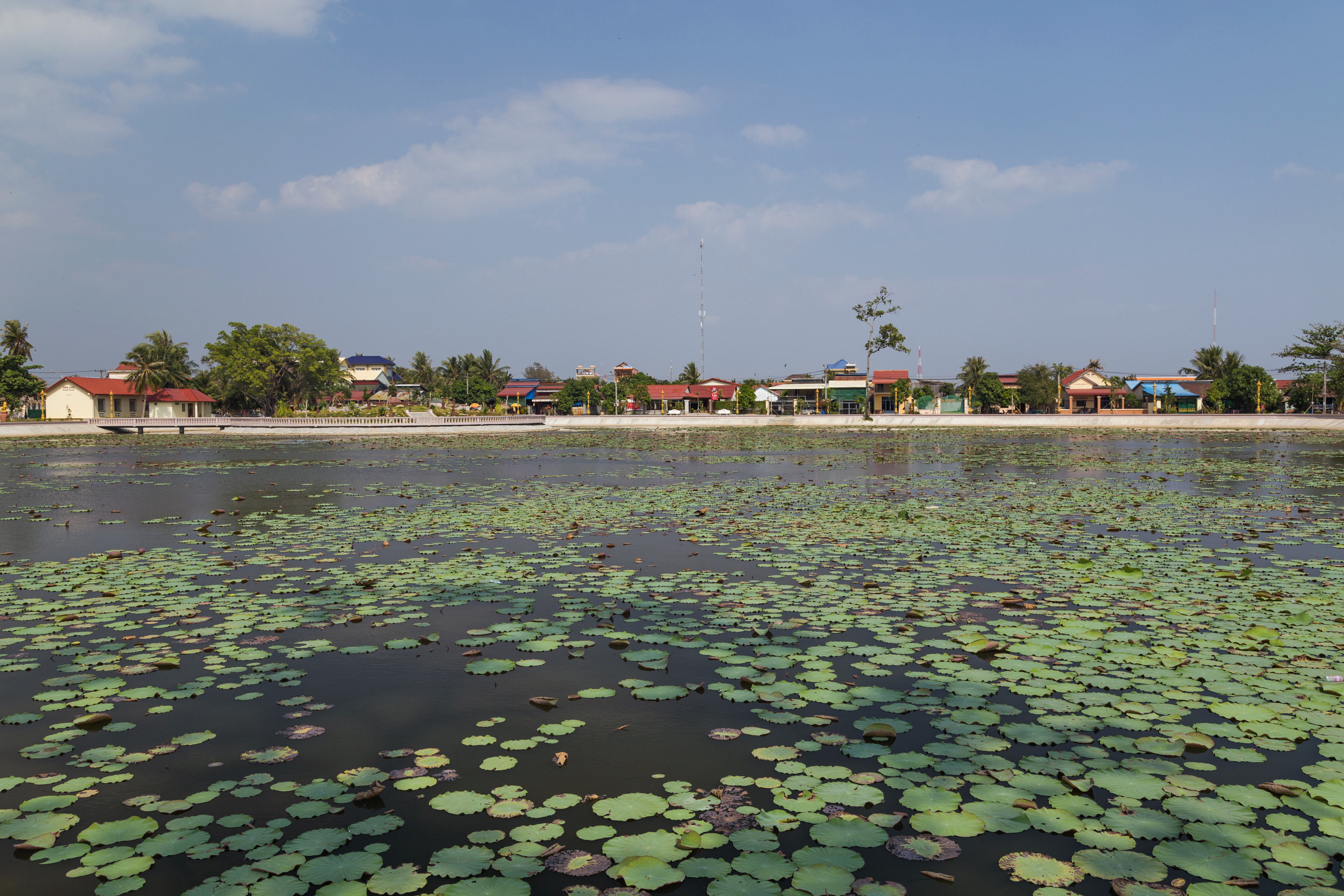 2016 Kampot, Staw lotosów (07)