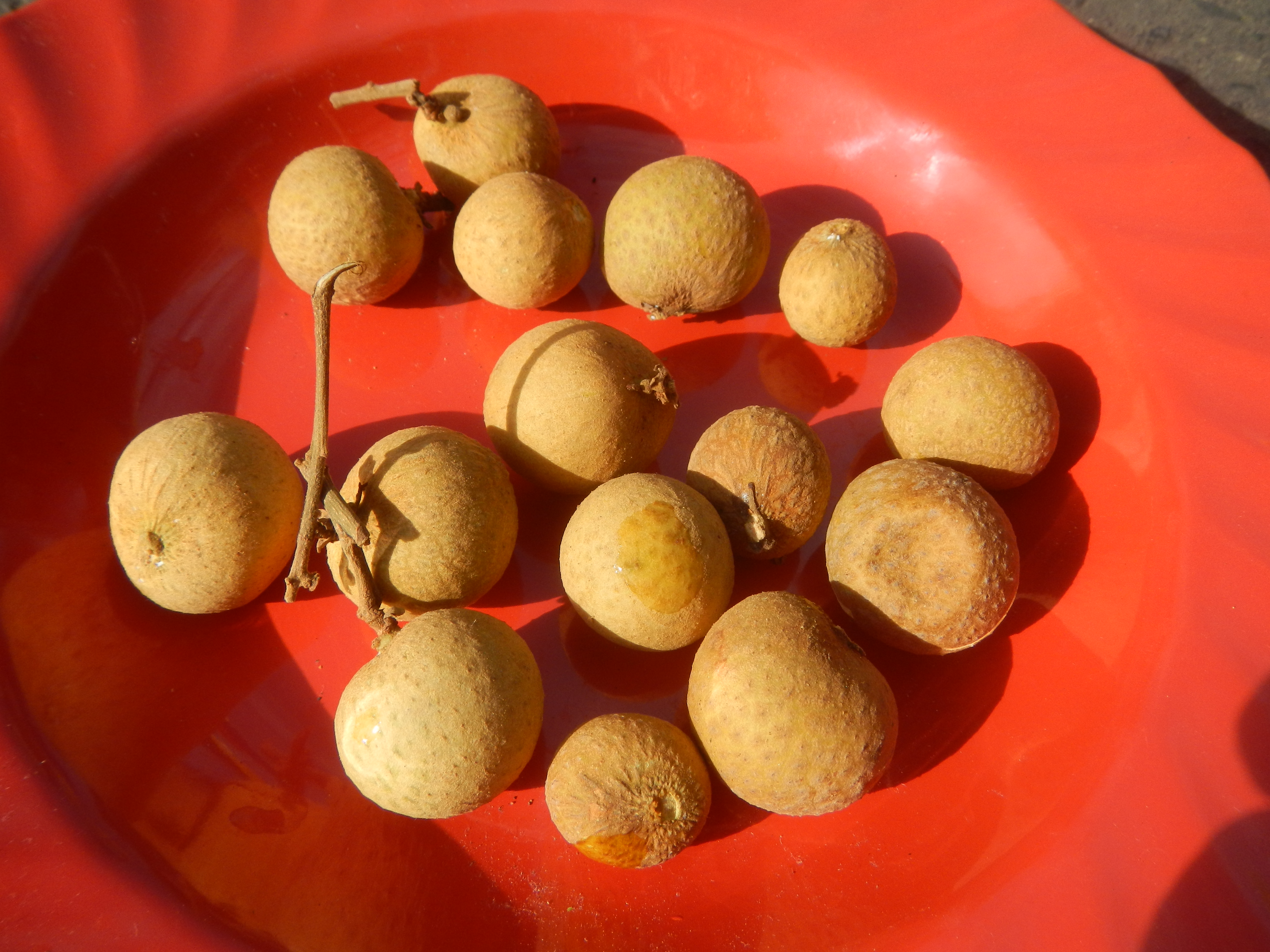 9701Foods Fruits Baliuag Bulacan Philippines 37