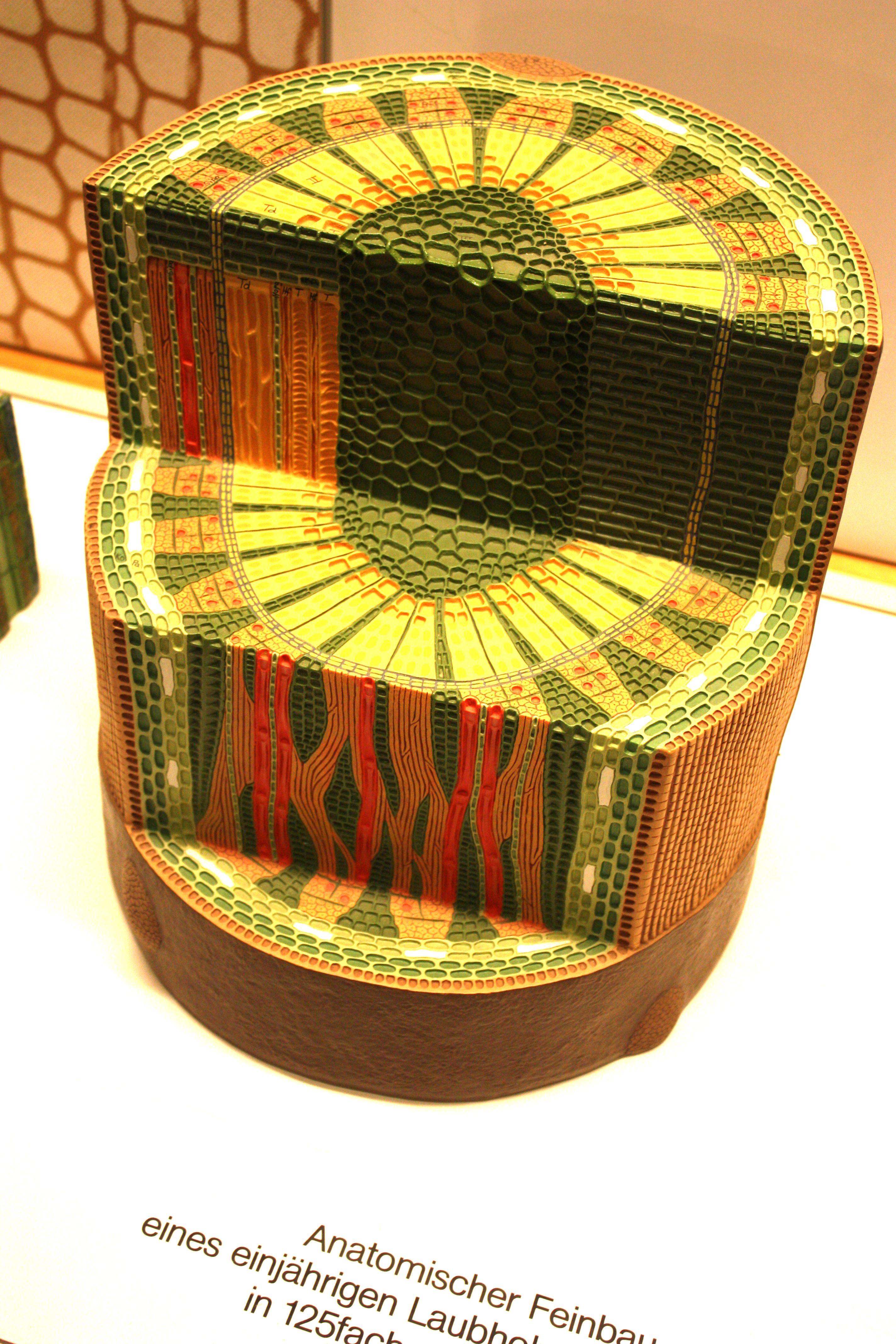 Überseemuseum Bremen 2009 252