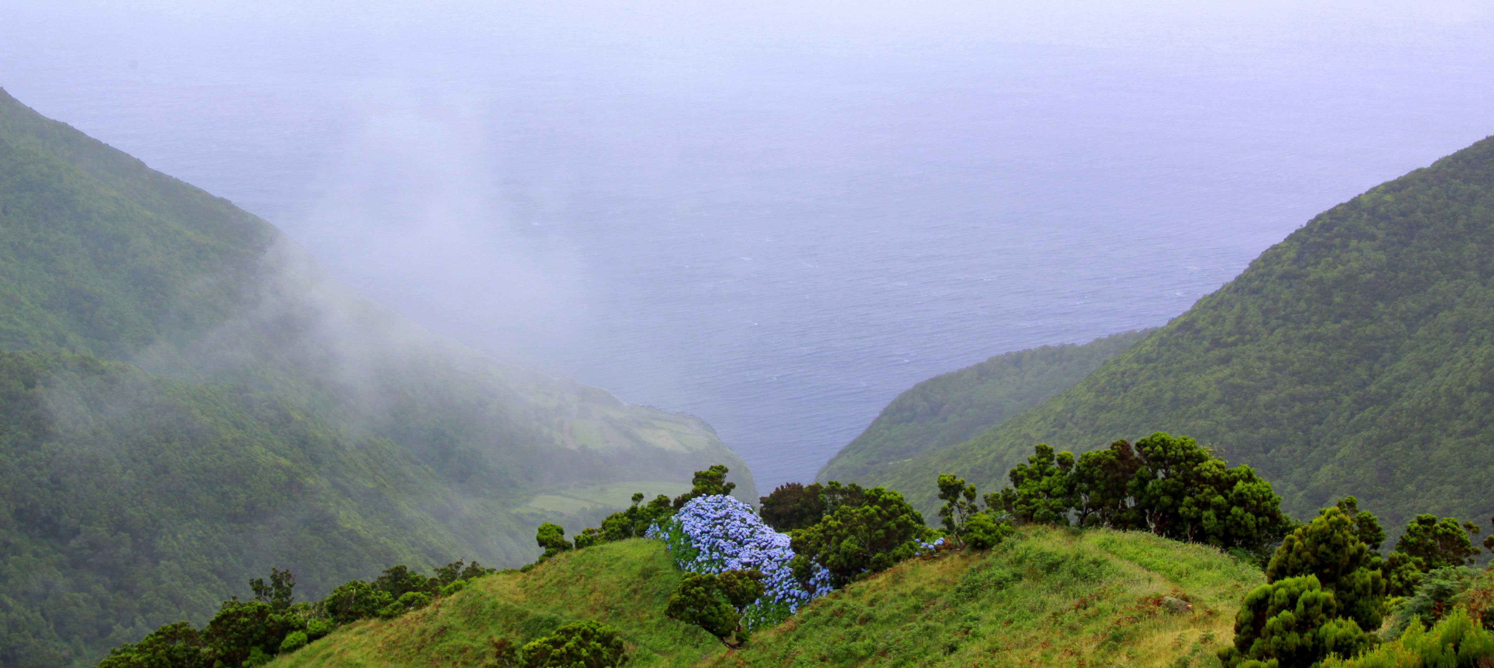 Açores 2010-07-20 (5068664718)