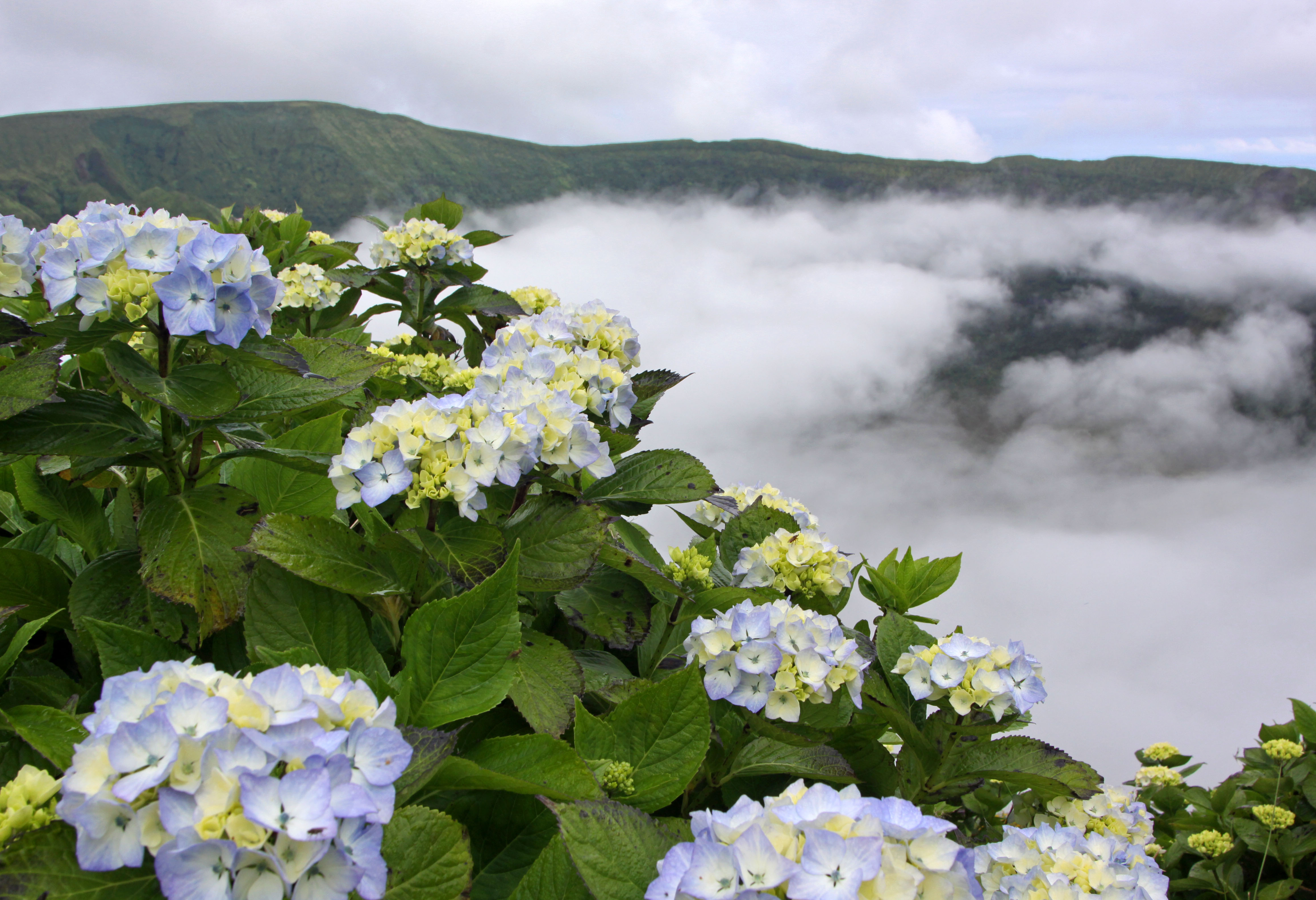 Açores 2010-07-23 (5154698413)