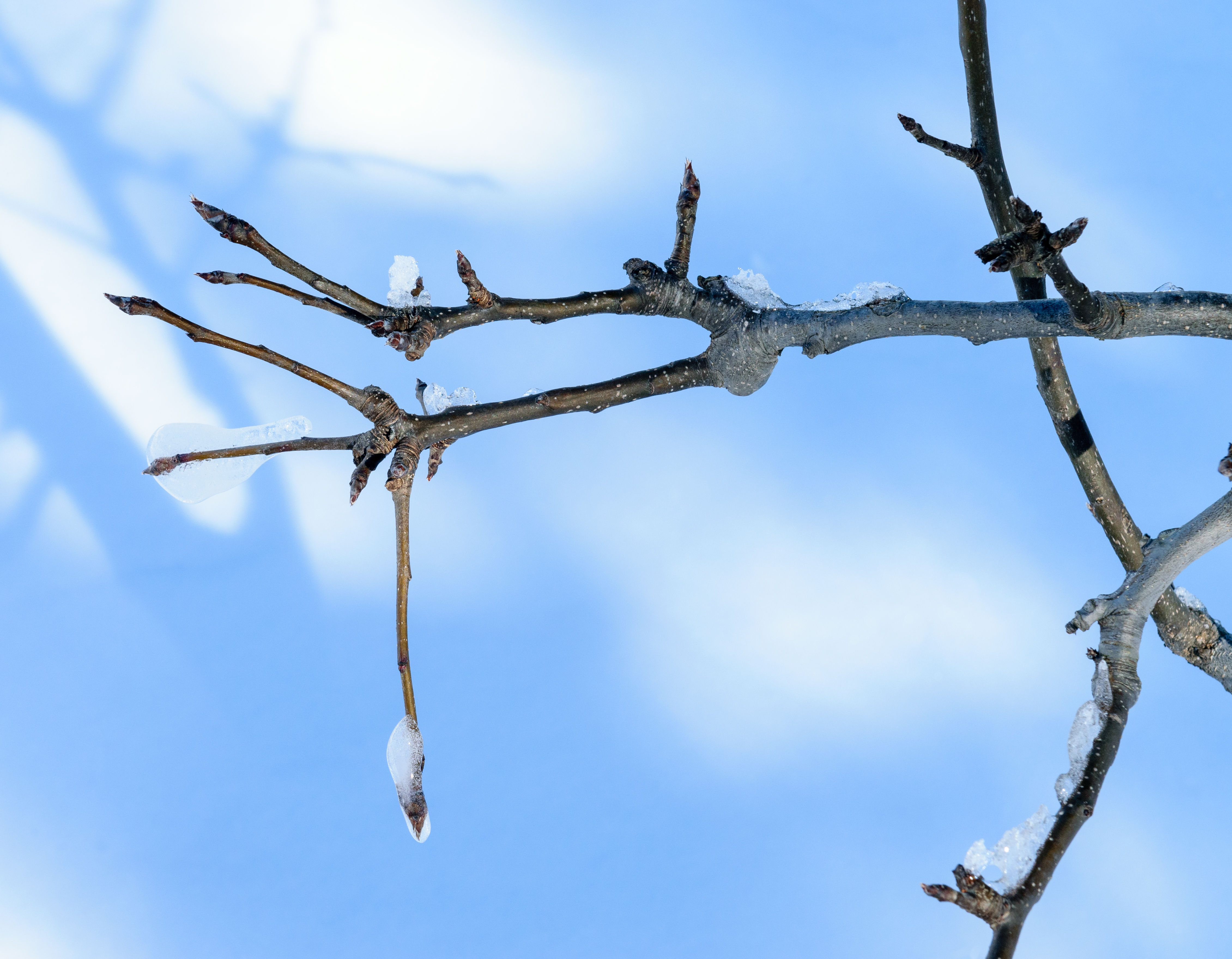 Aftermath of January 2018 North American blizzard 14