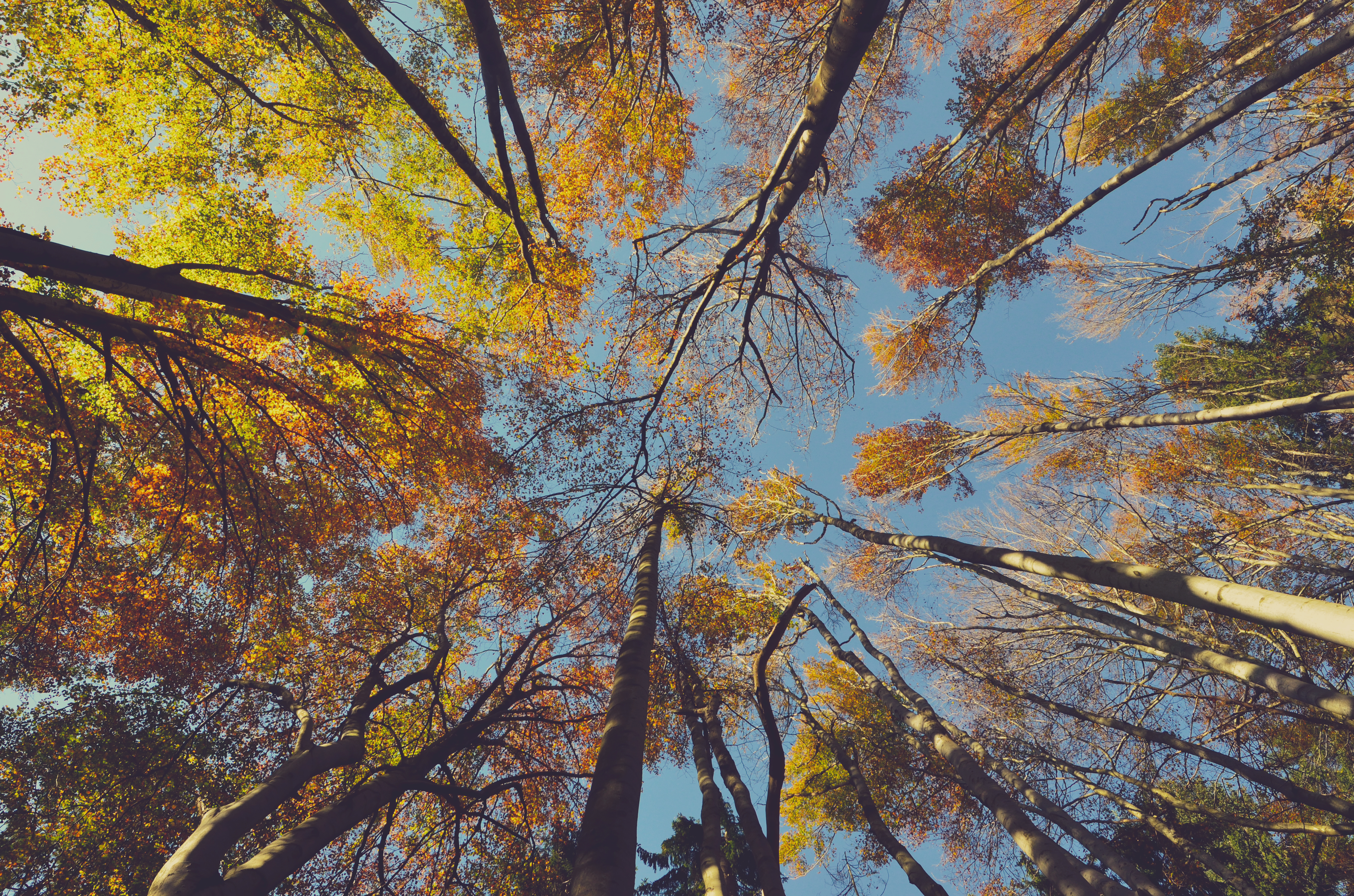 Ales Krivec 2014-10-14 (Unsplash)
